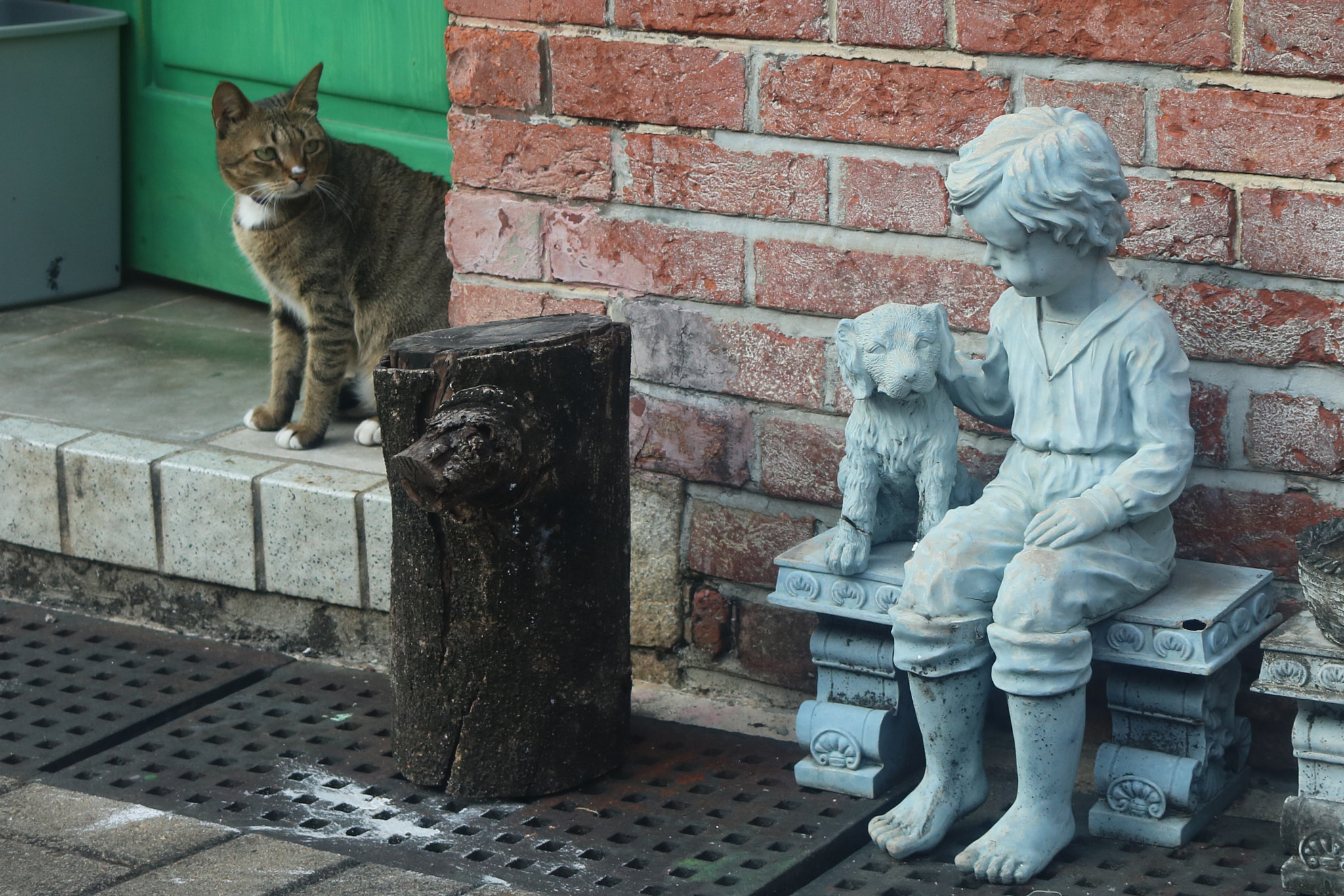 Canon EOS 760D (EOS Rebel T6s / EOS 8000D) sample photo. I'd like to be petted too photography