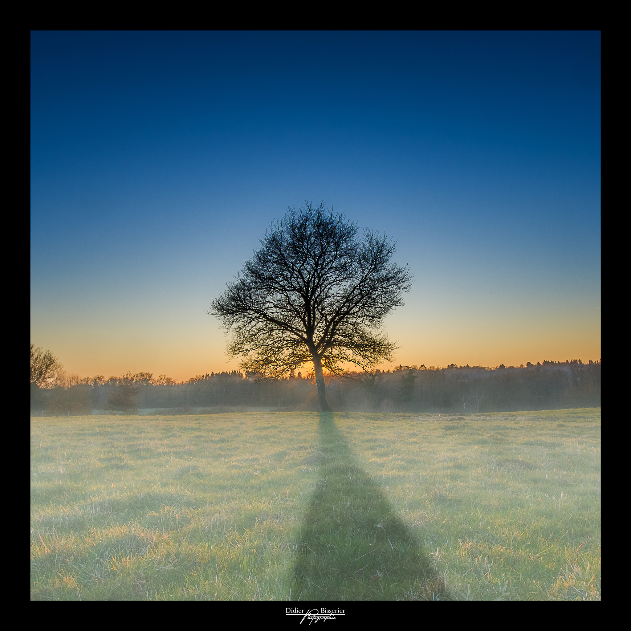Sigma 10-20mm F3.5 EX DC HSM sample photo. Sunrise or sunset photography