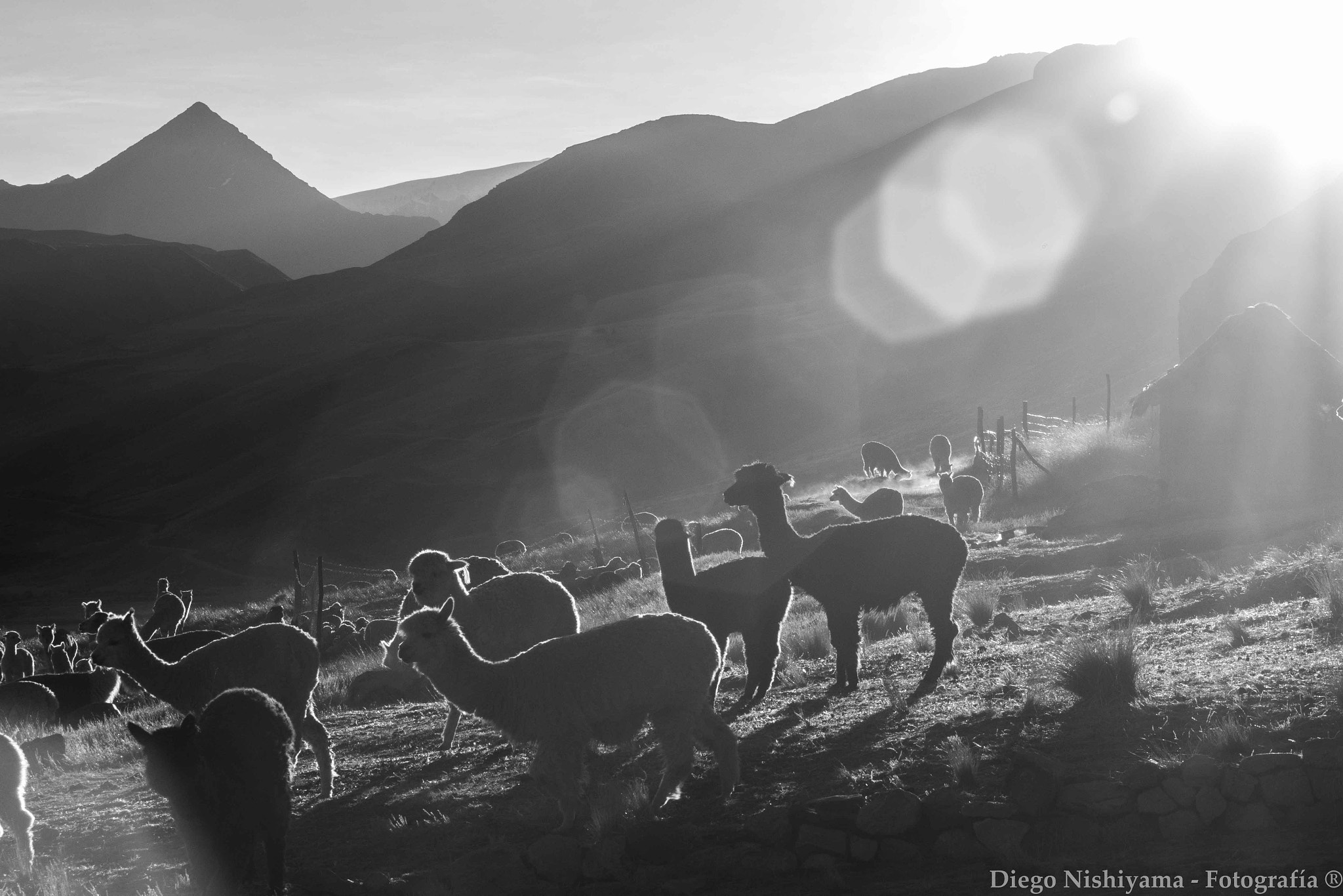 Canon EF 75-300mm f/4-5.6 USM sample photo. Sunrise photography