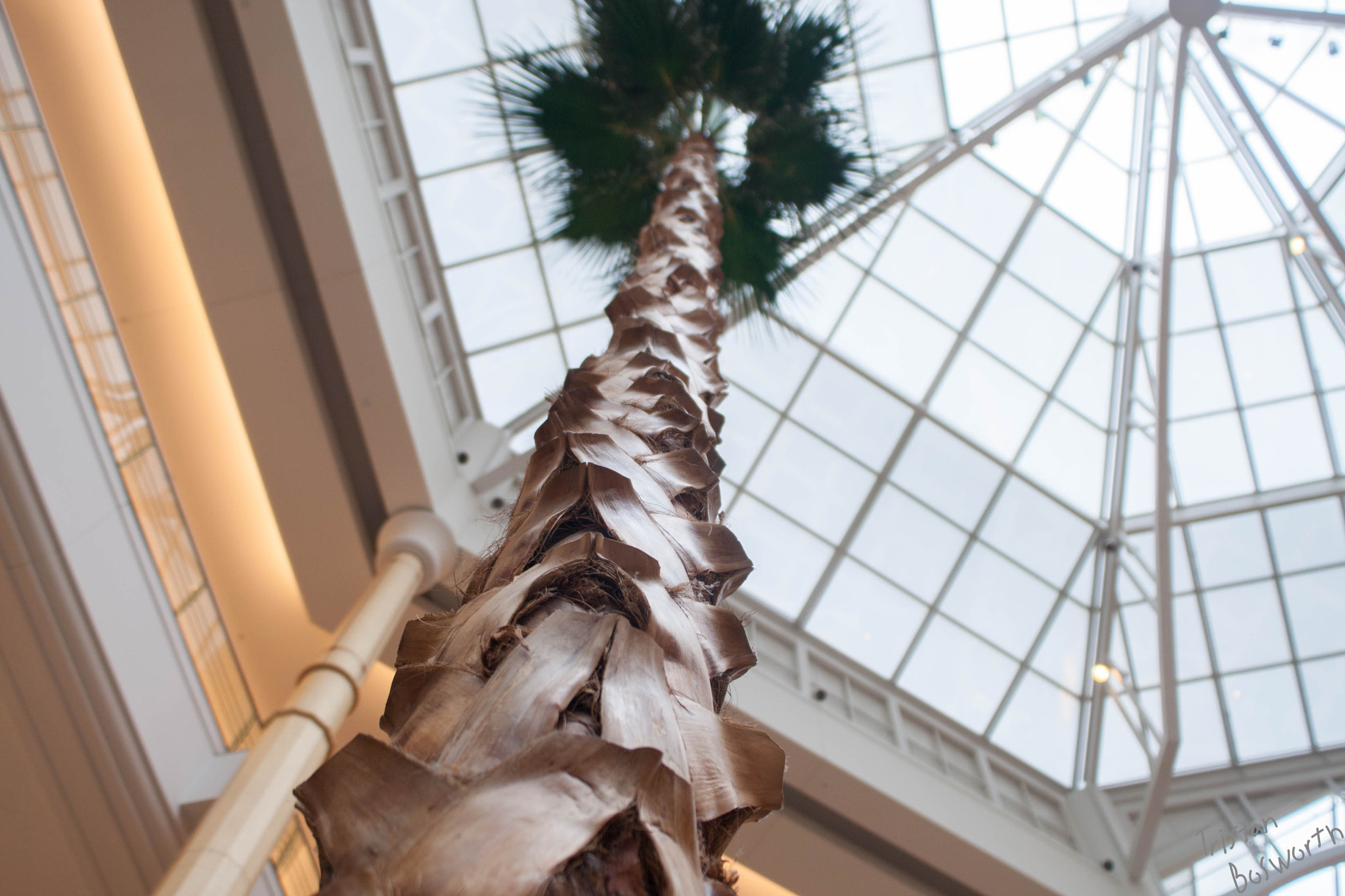 Canon EOS-1D Mark III sample photo. Somerset mall no. 2 photography