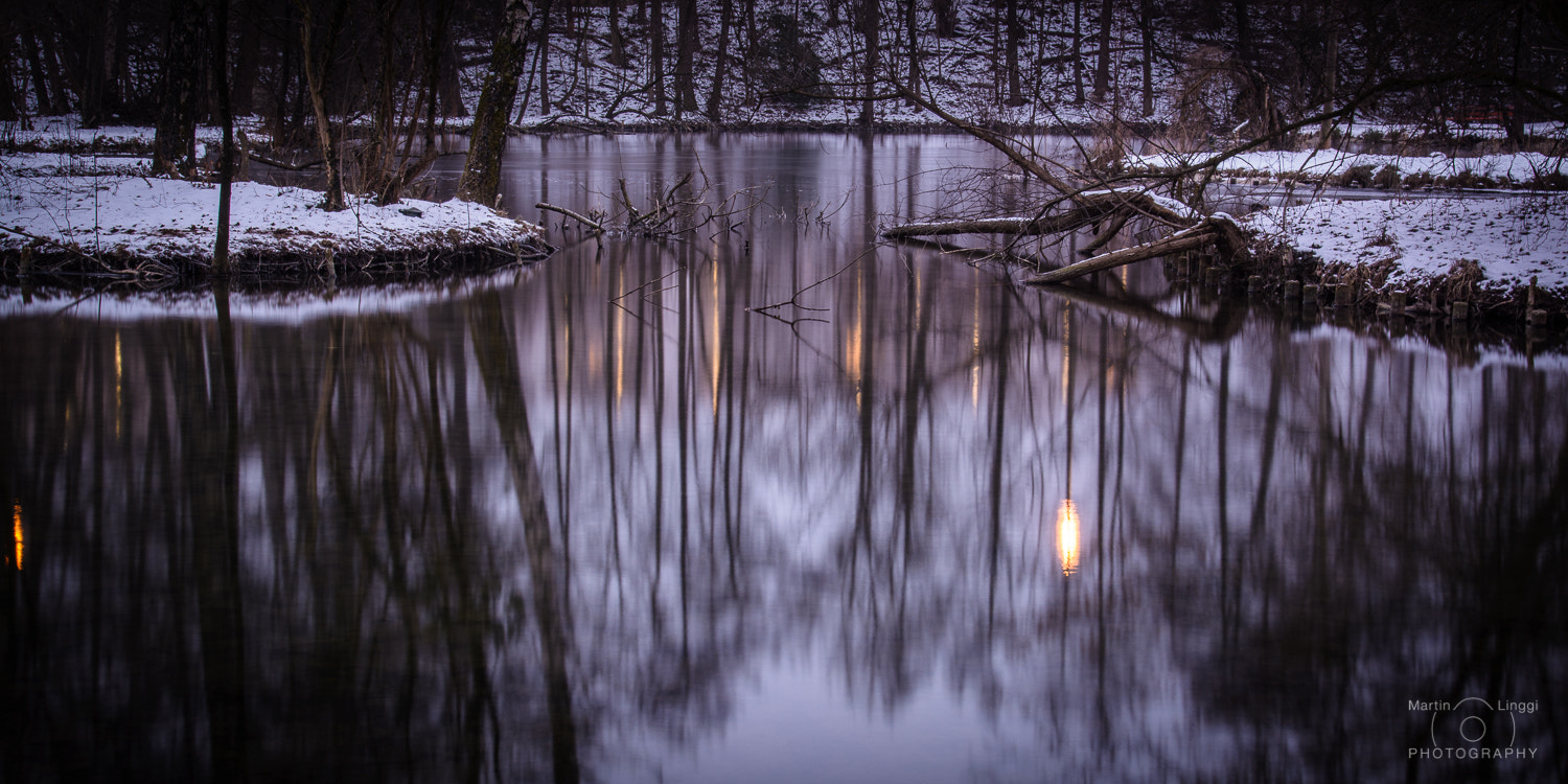 Nikon AF-S Nikkor 24-120mm F4G ED VR sample photo. Where does the light come from? photography