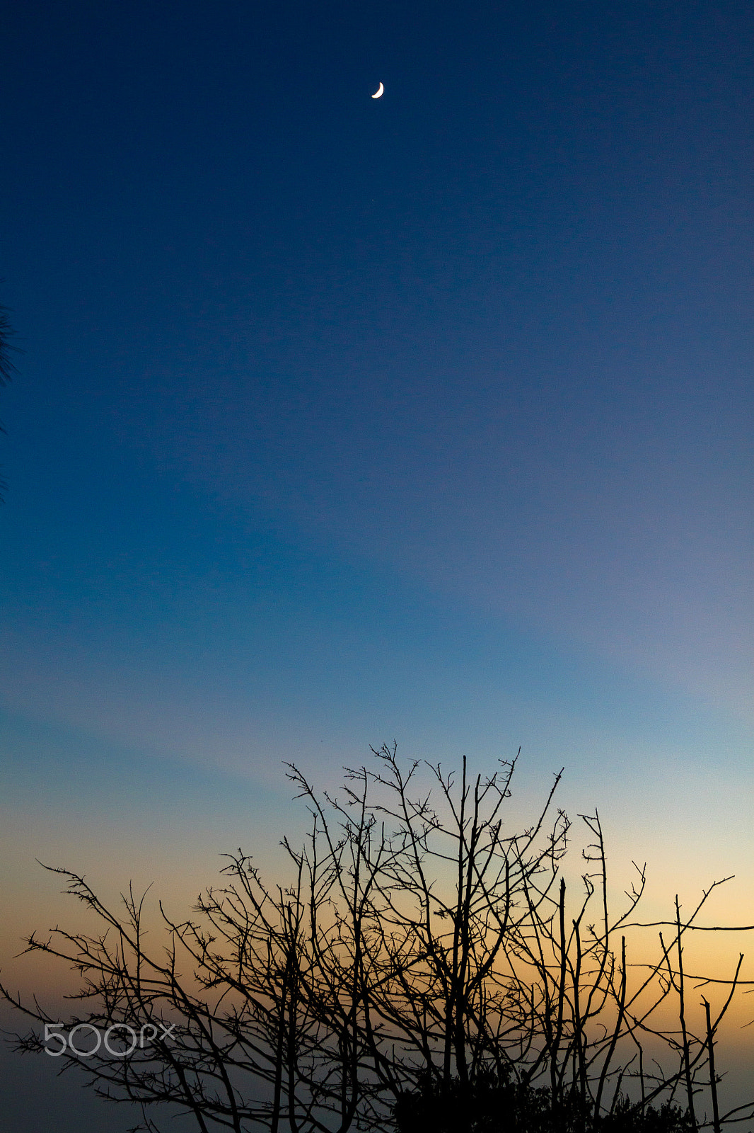 Canon EF 24-70mm F2.8L II USM sample photo. Distance photography