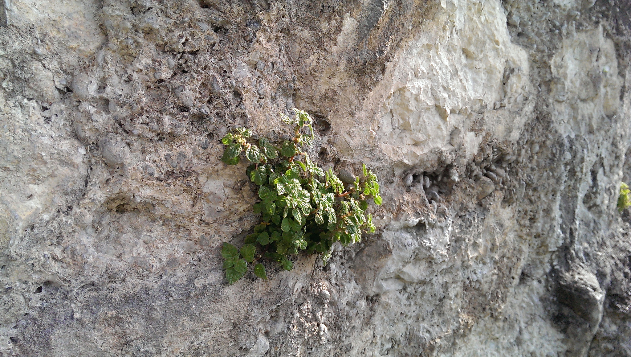 HTC ONE DUAL SIM sample photo. Imag photography