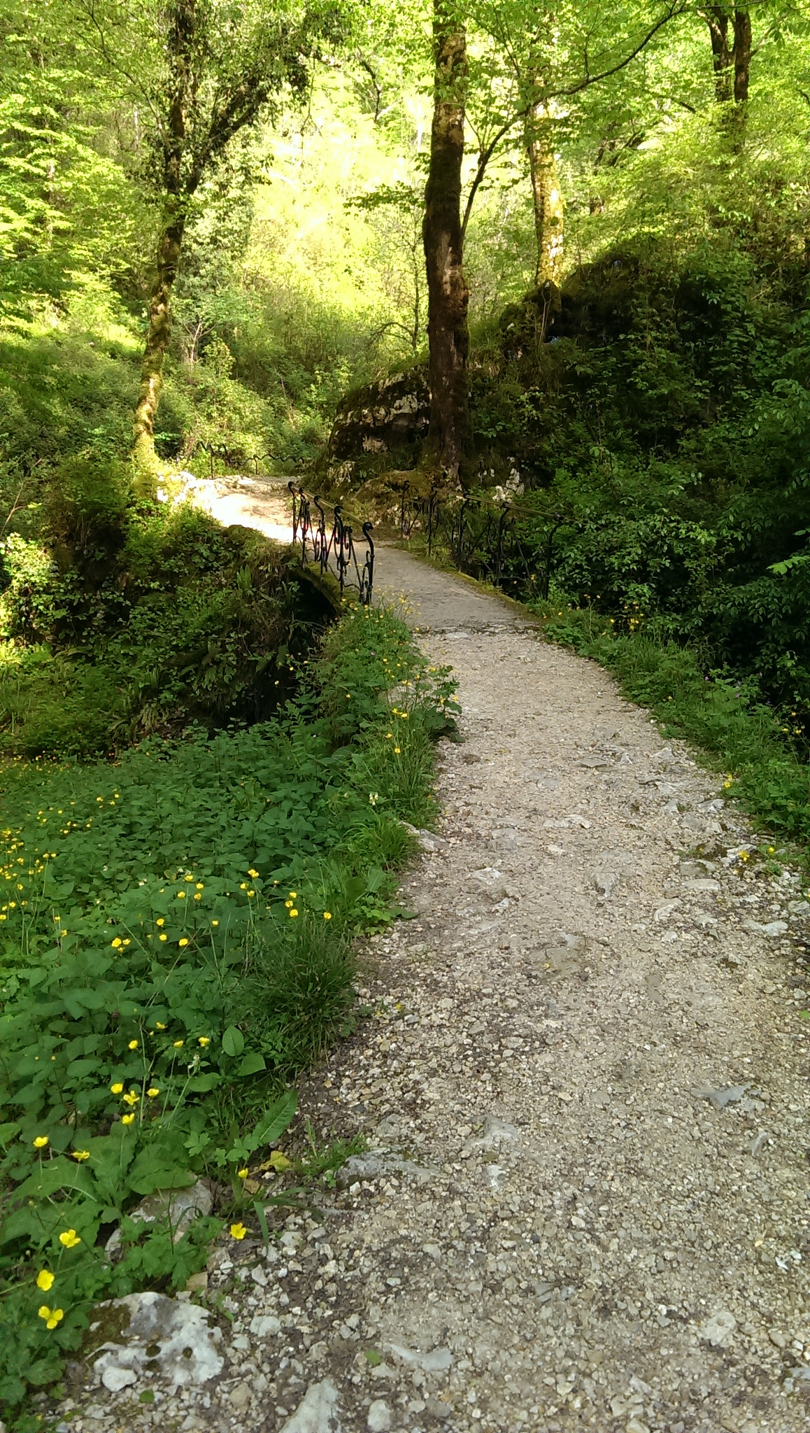 HTC ONE DUAL SIM sample photo. Imag photography
