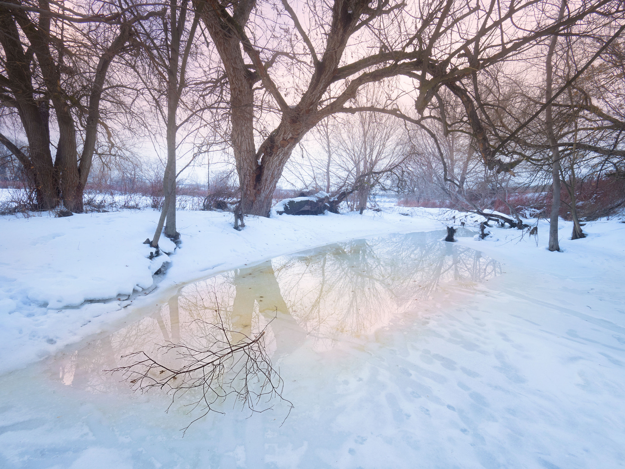 Olympus OM-D E-M1 + Olympus M.Zuiko Digital ED 7-14mm F2.8 PRO sample photo. Winter sunset photography