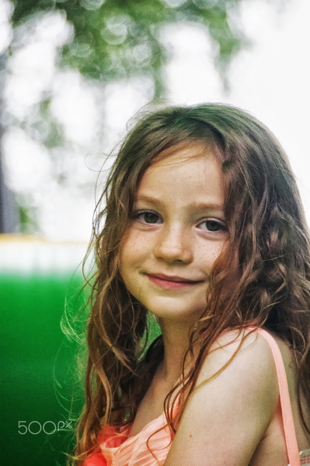 Sony DT 18-250mm F3.5-6.3 sample photo. Lily photography