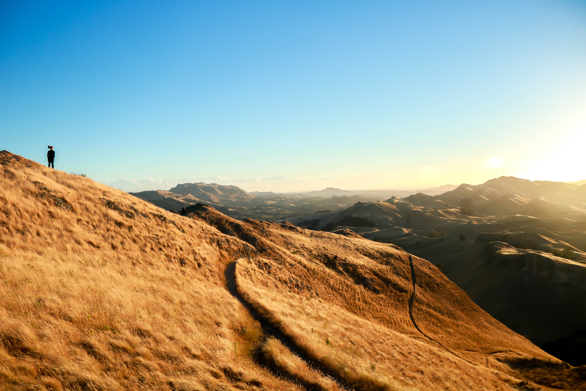Canon EF-S 17-85mm F4-5.6 IS USM sample photo. The path to heaven photography
