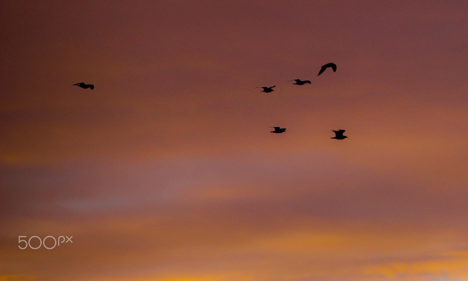 Canon EOS 600D (Rebel EOS T3i / EOS Kiss X5) + Canon TS-E 90mm F2.8 Tilt-Shift sample photo. Sunrise flight photography