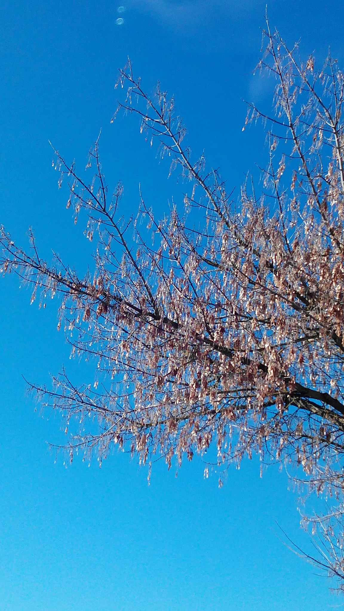 bq Aquaris E5 HD sample photo