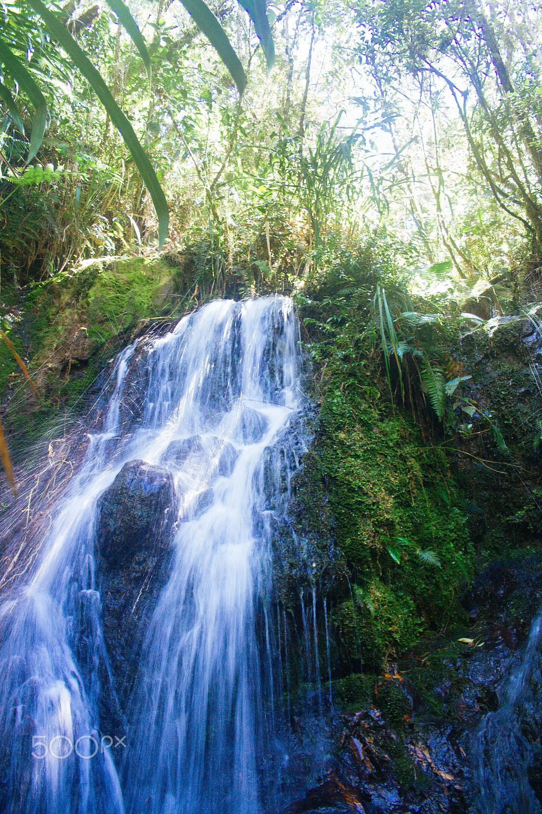 Canon EF-S 18-55mm F3.5-5.6 II sample photo. En busca de los nacimientos de agua. sdm photography