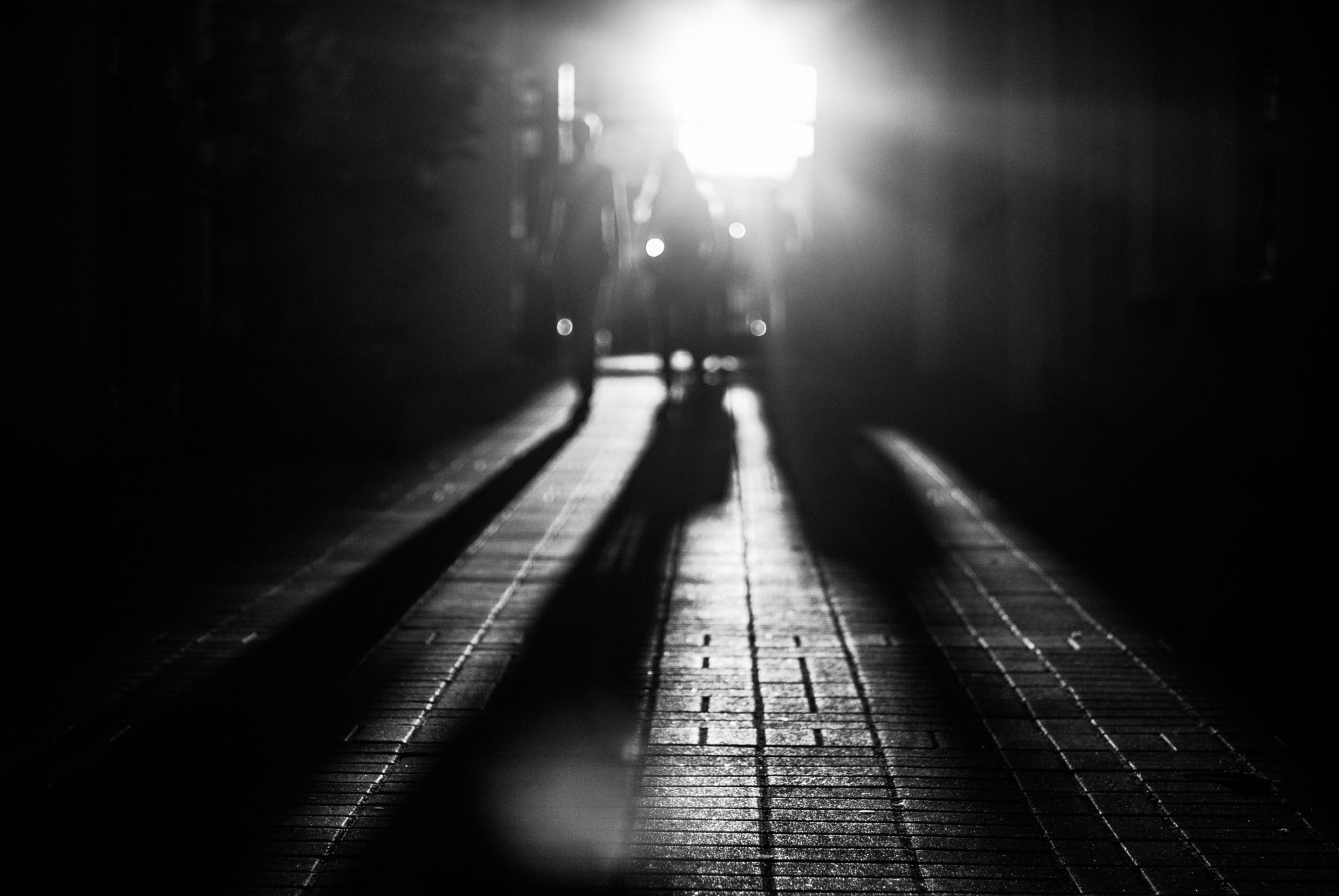 Nikon D80 + Nikon AF Nikkor 50mm F1.4D sample photo. Emerge photography