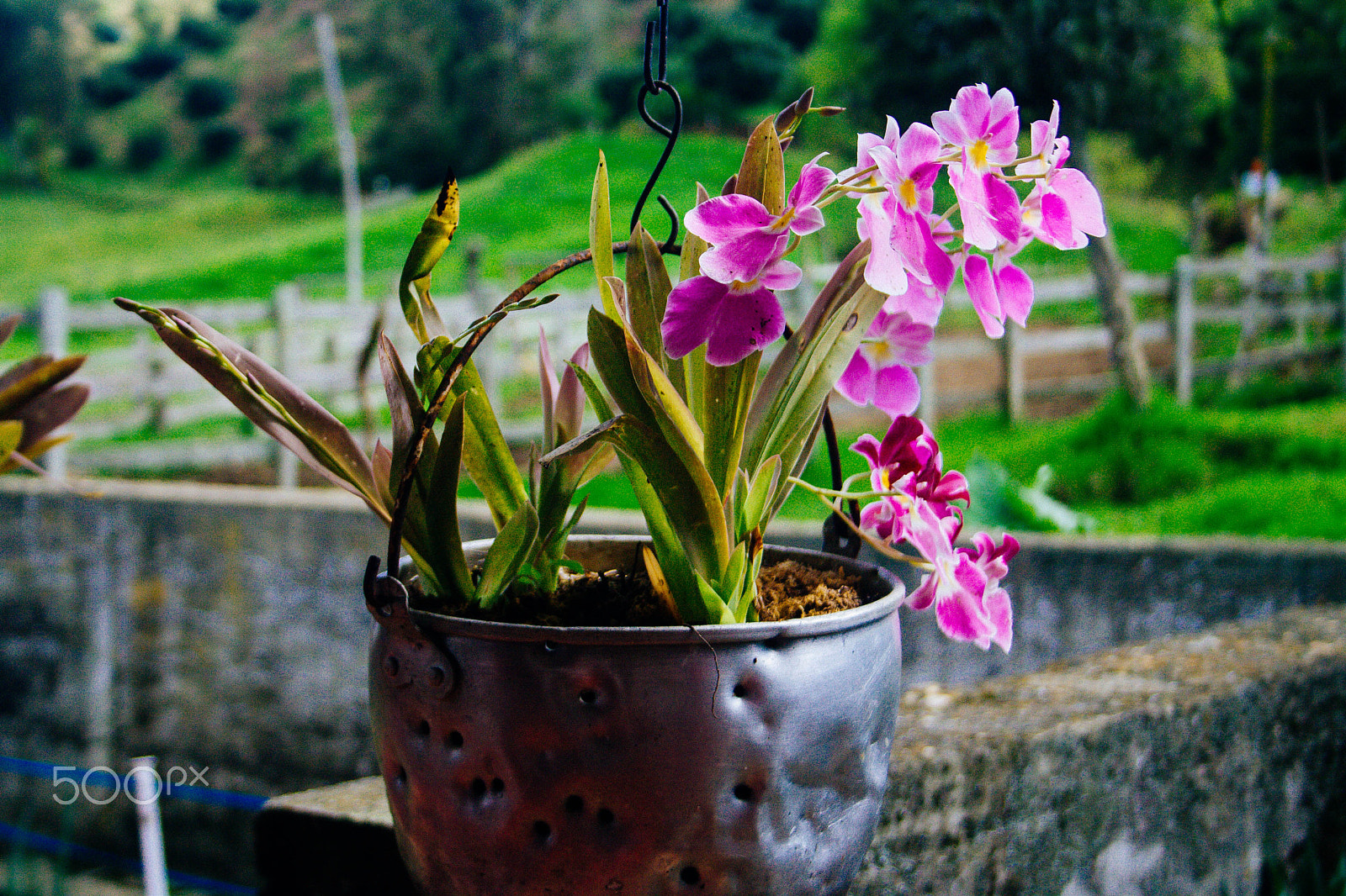 Canon EF-S 18-55mm F3.5-5.6 II sample photo. En busca de los nacimientos de agua. sdm photography