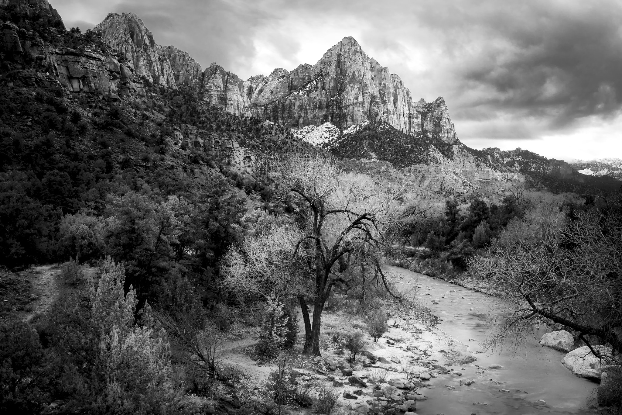 Canon EF 17-40mm F4L USM sample photo. Zion - black and white photography