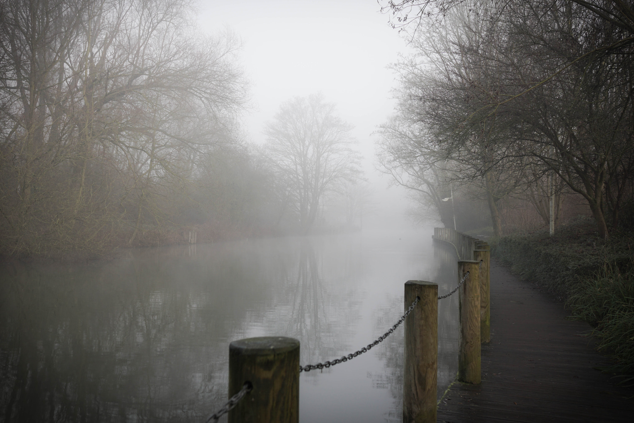 Sony Sonnar T* E 24mm F1.8 ZA sample photo. Foggy winter morning photography