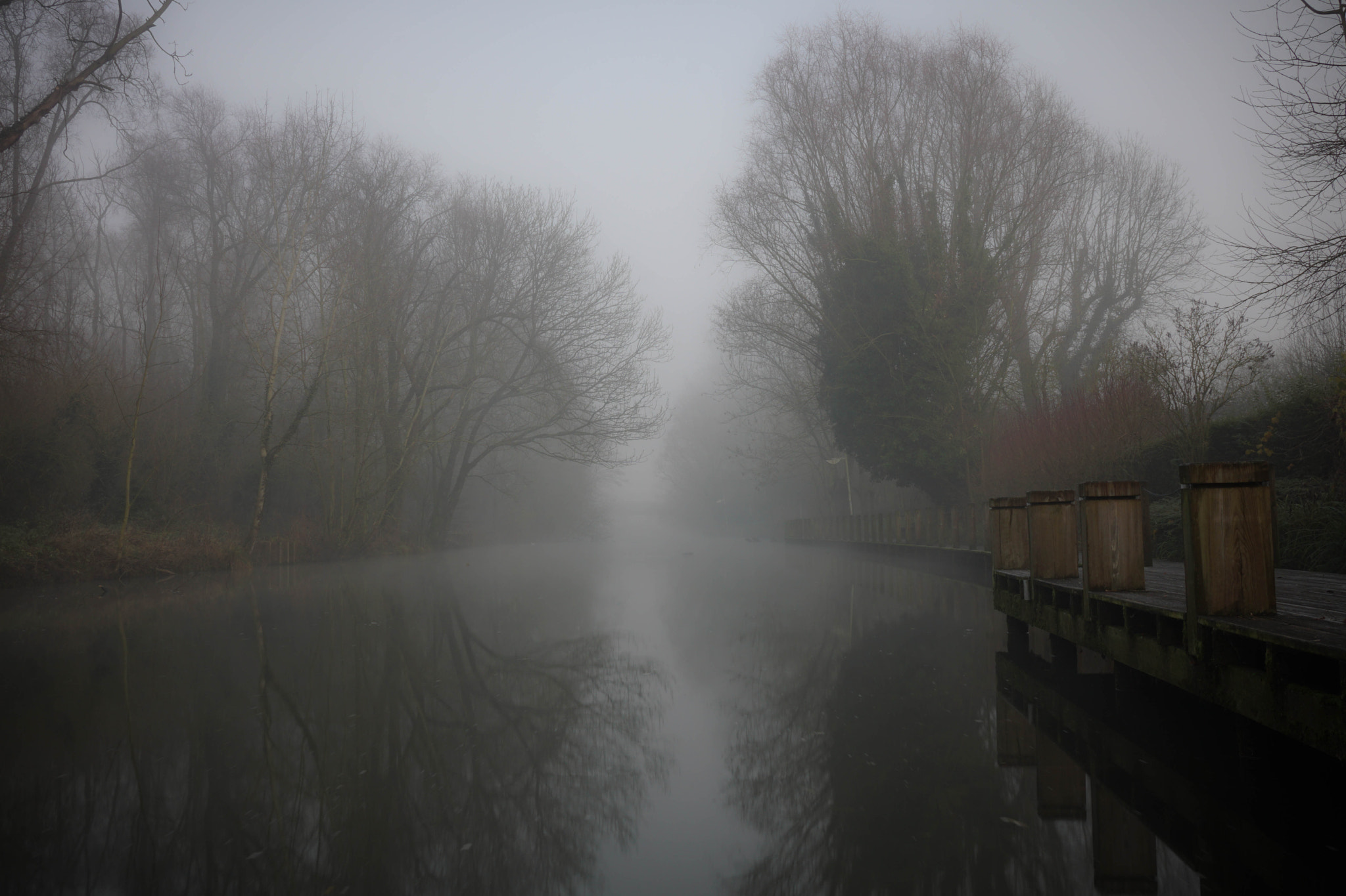 Sony Sonnar T* E 24mm F1.8 ZA sample photo. Foggy winter morning photography