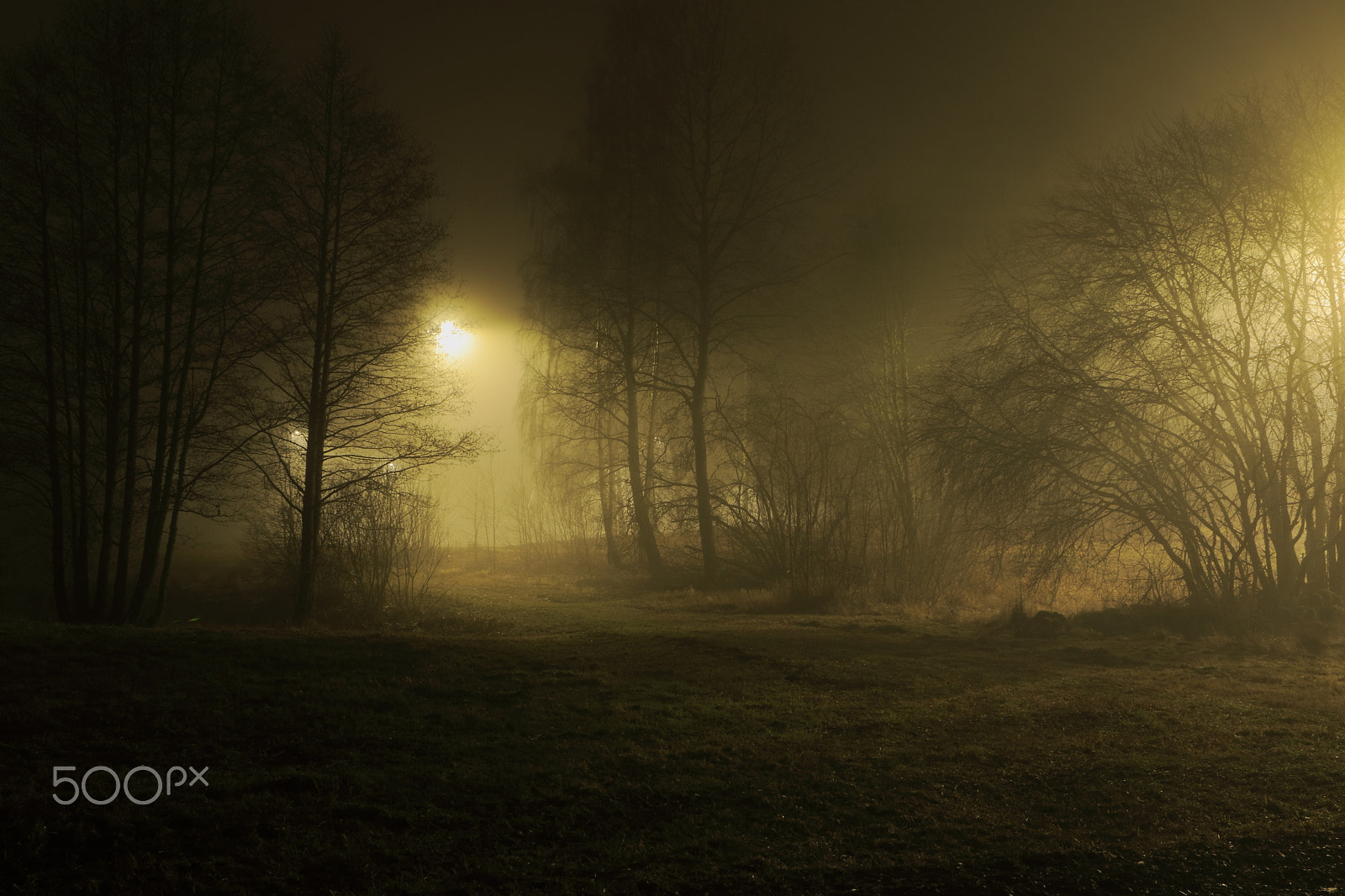 Canon EF 24-70mm F2.8L USM sample photo. A misty adventure photography