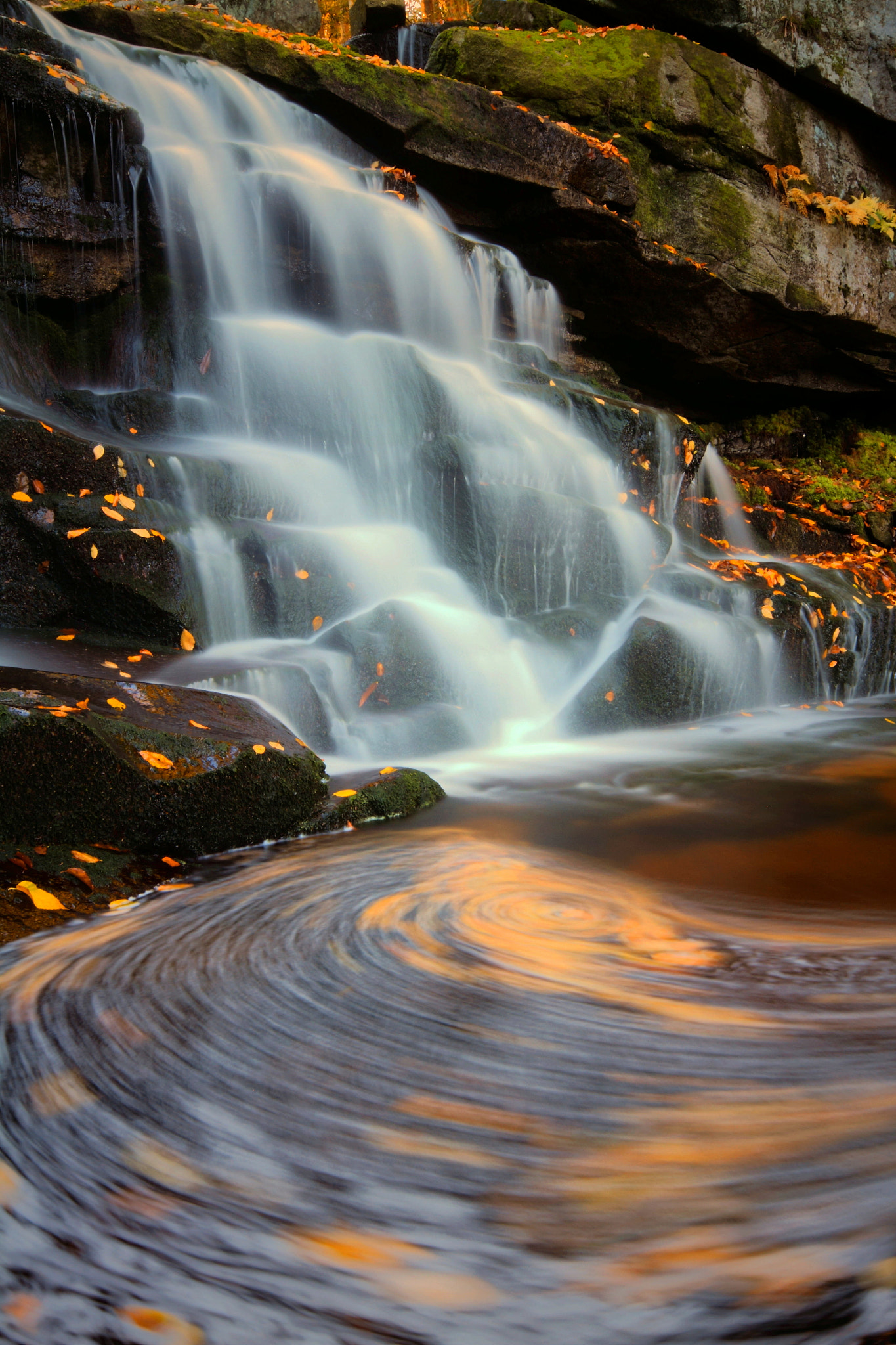 Canon 10-20mm sample photo. Elakala falls in autumn photography