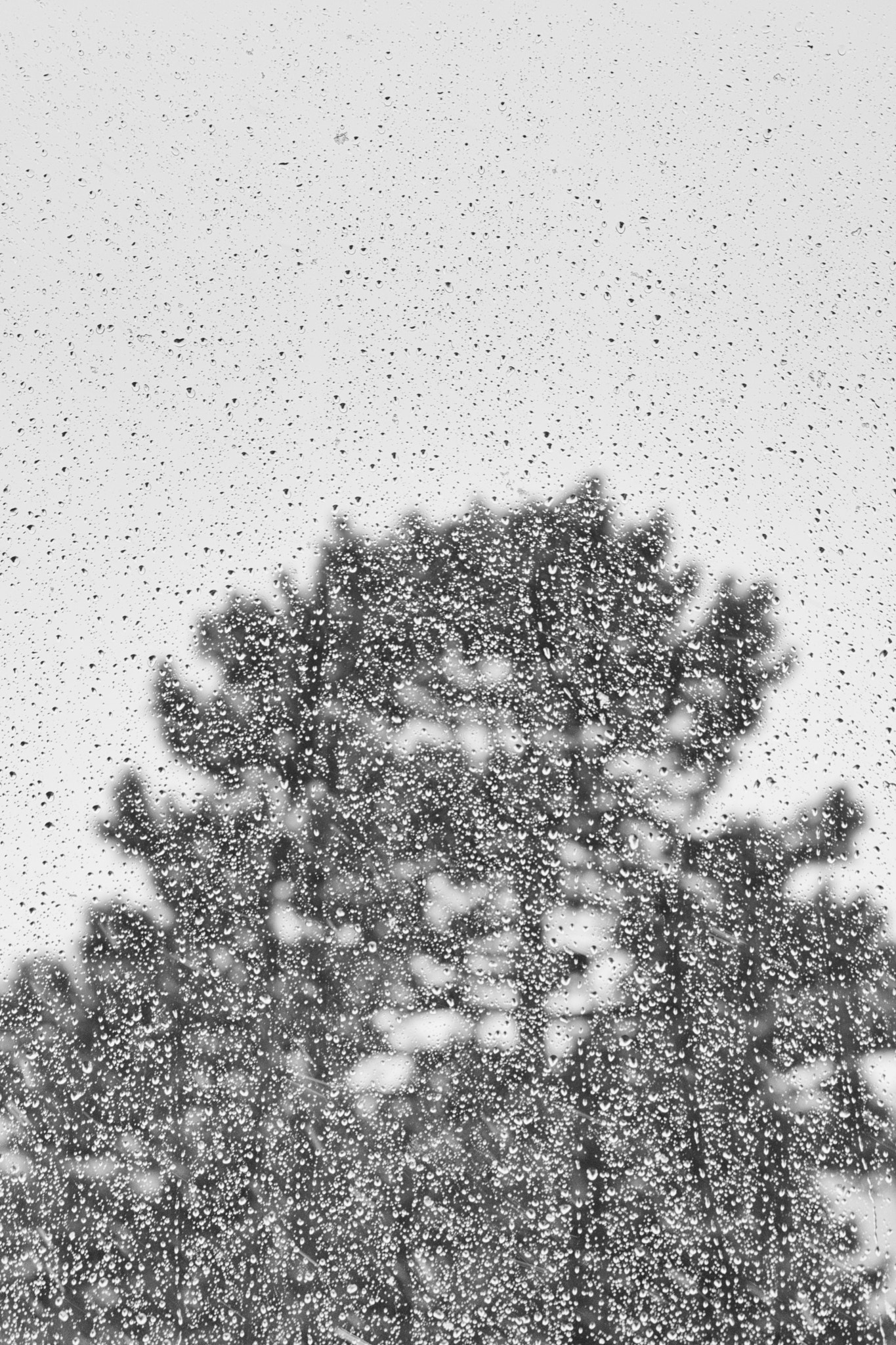 Canon EF-S 55-250mm F4-5.6 IS sample photo. Rainy day photography