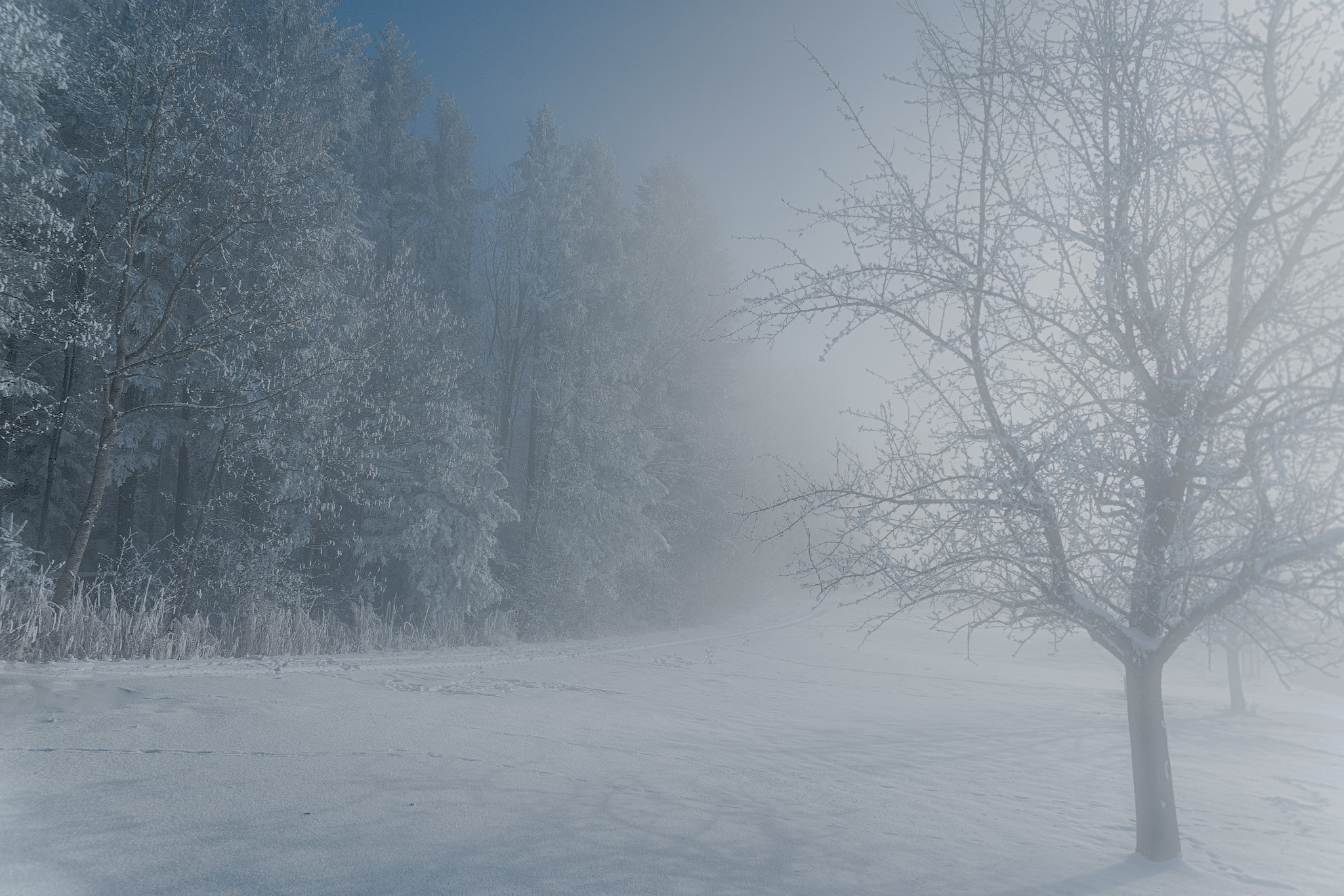 Sigma 24-70mm F2.8 EX DG HSM sample photo. Nebelgrenze photography