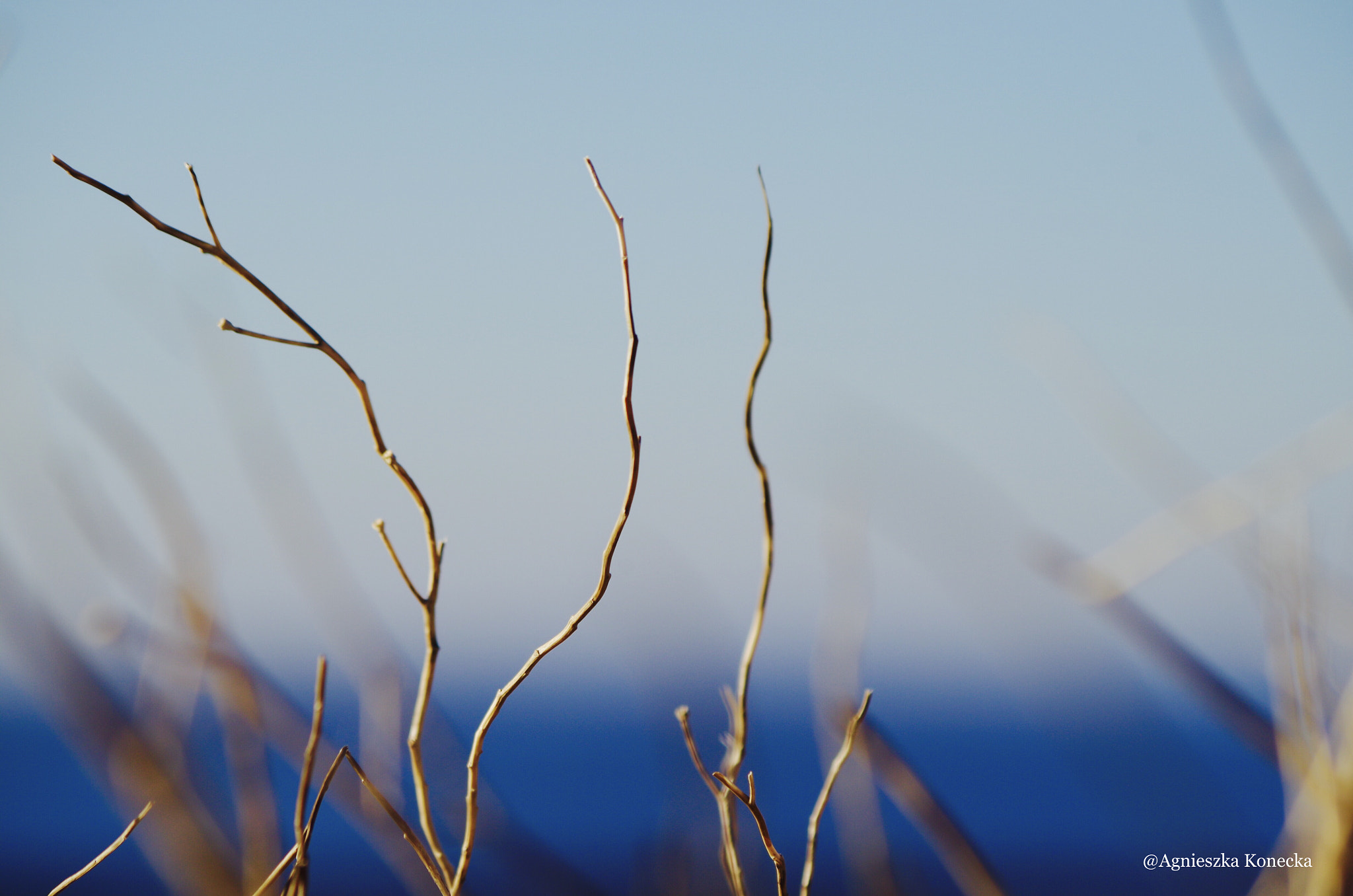 Pentax K-50 sample photo. Blue sky 3 photography