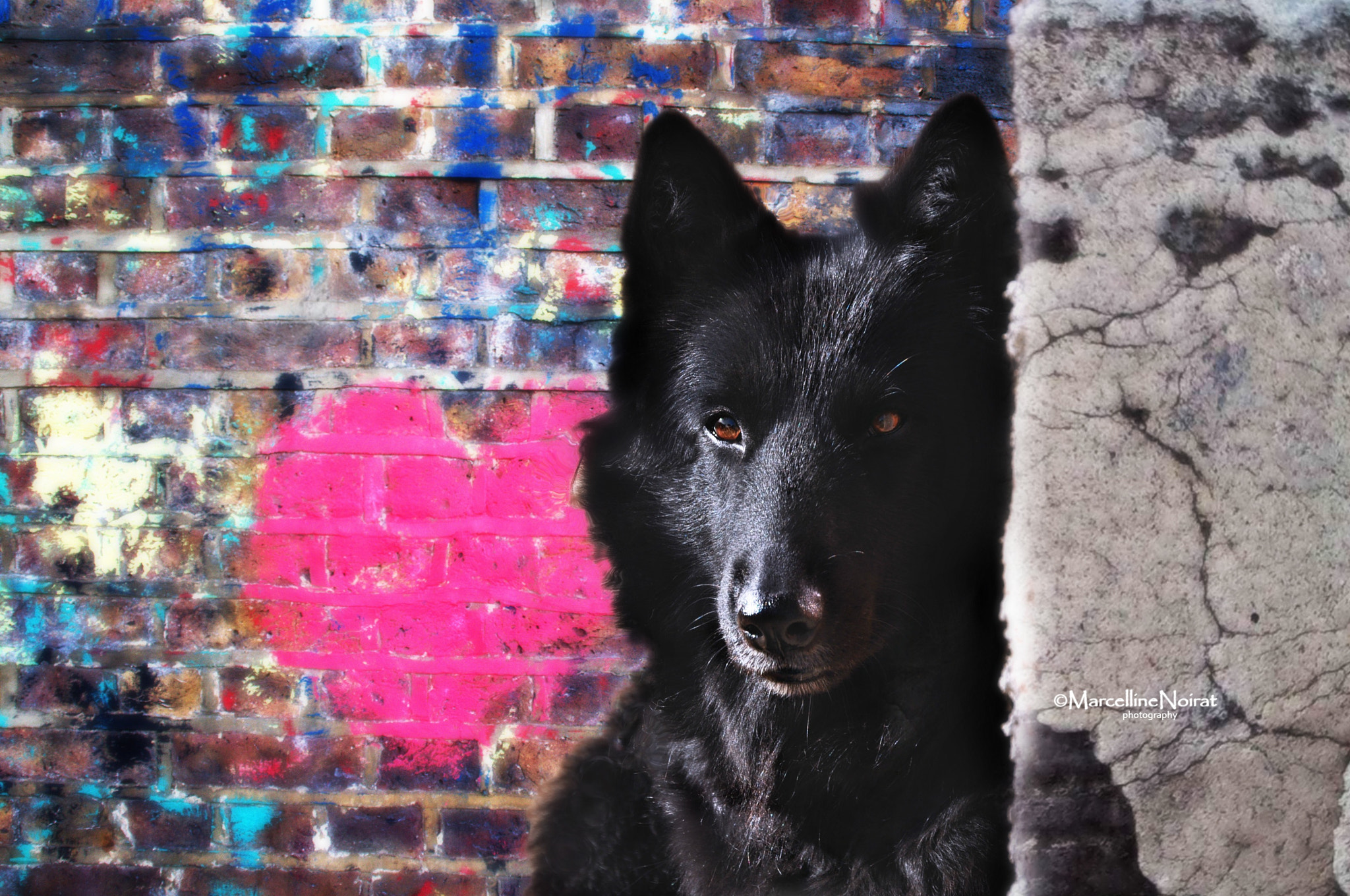 Nikon D5000 sample photo. Abbygail photography