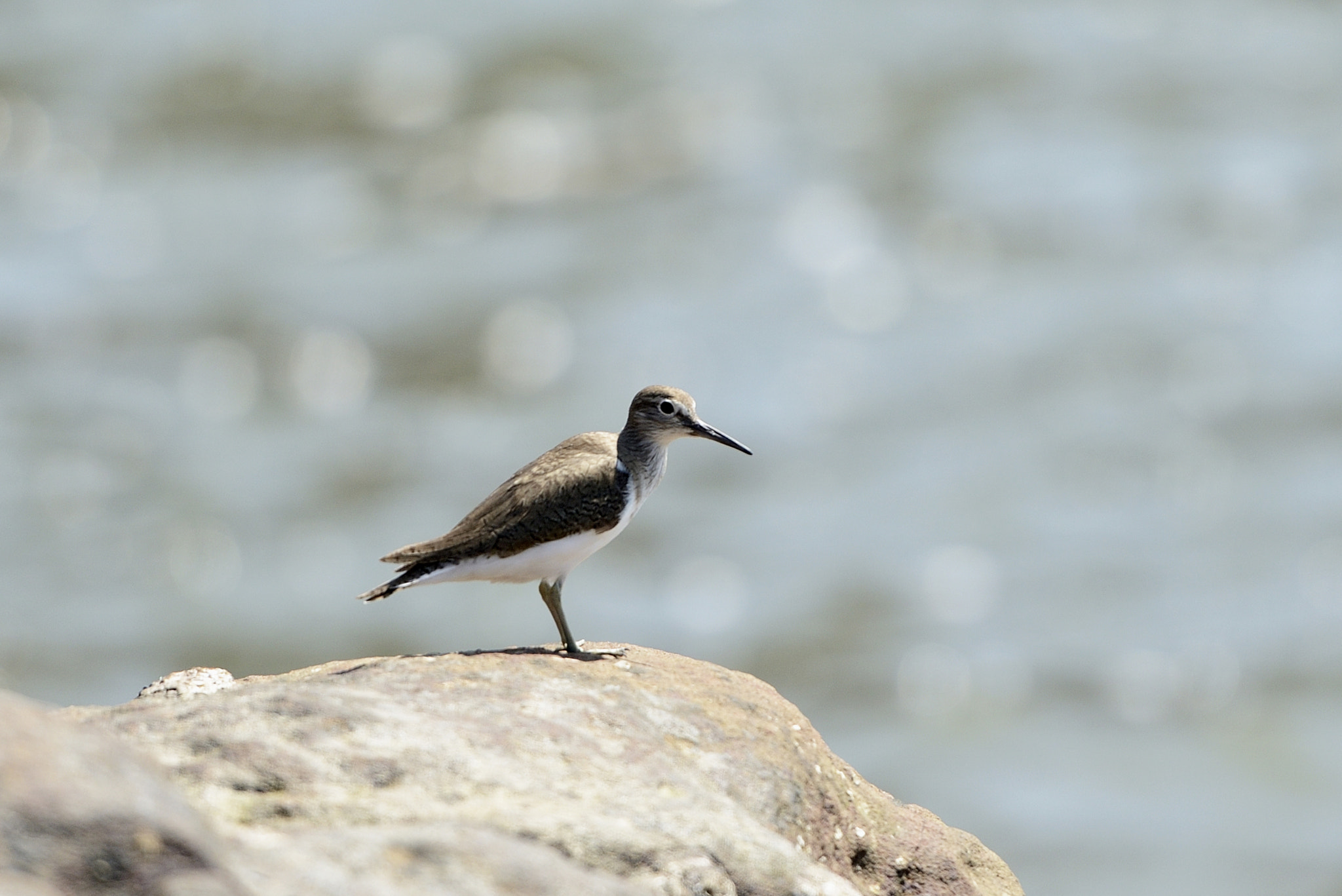 Nikon D800E sample photo