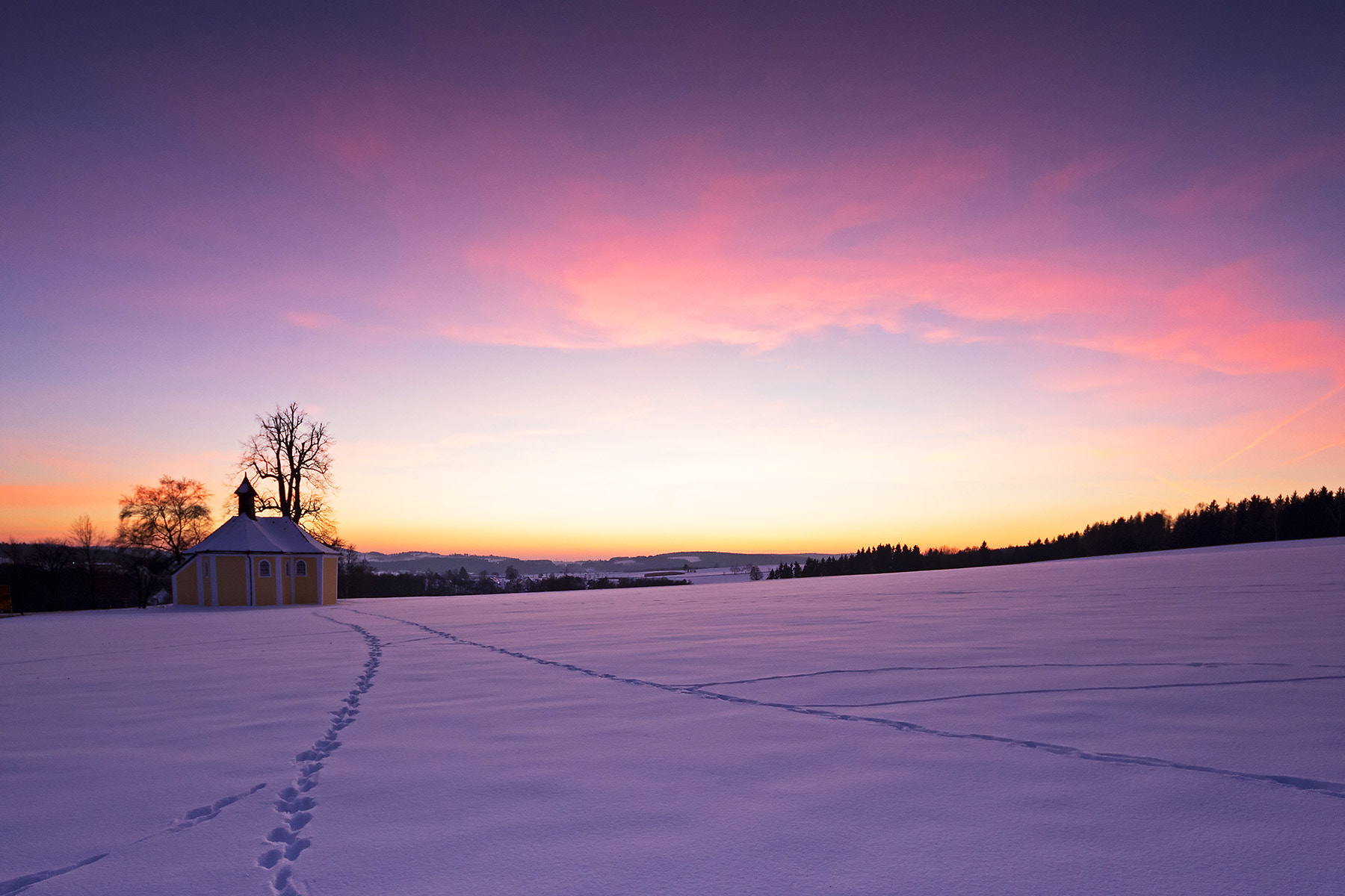 Sigma 8-16mm F4.5-5.6 DC HSM sample photo. Spuren im schnee photography