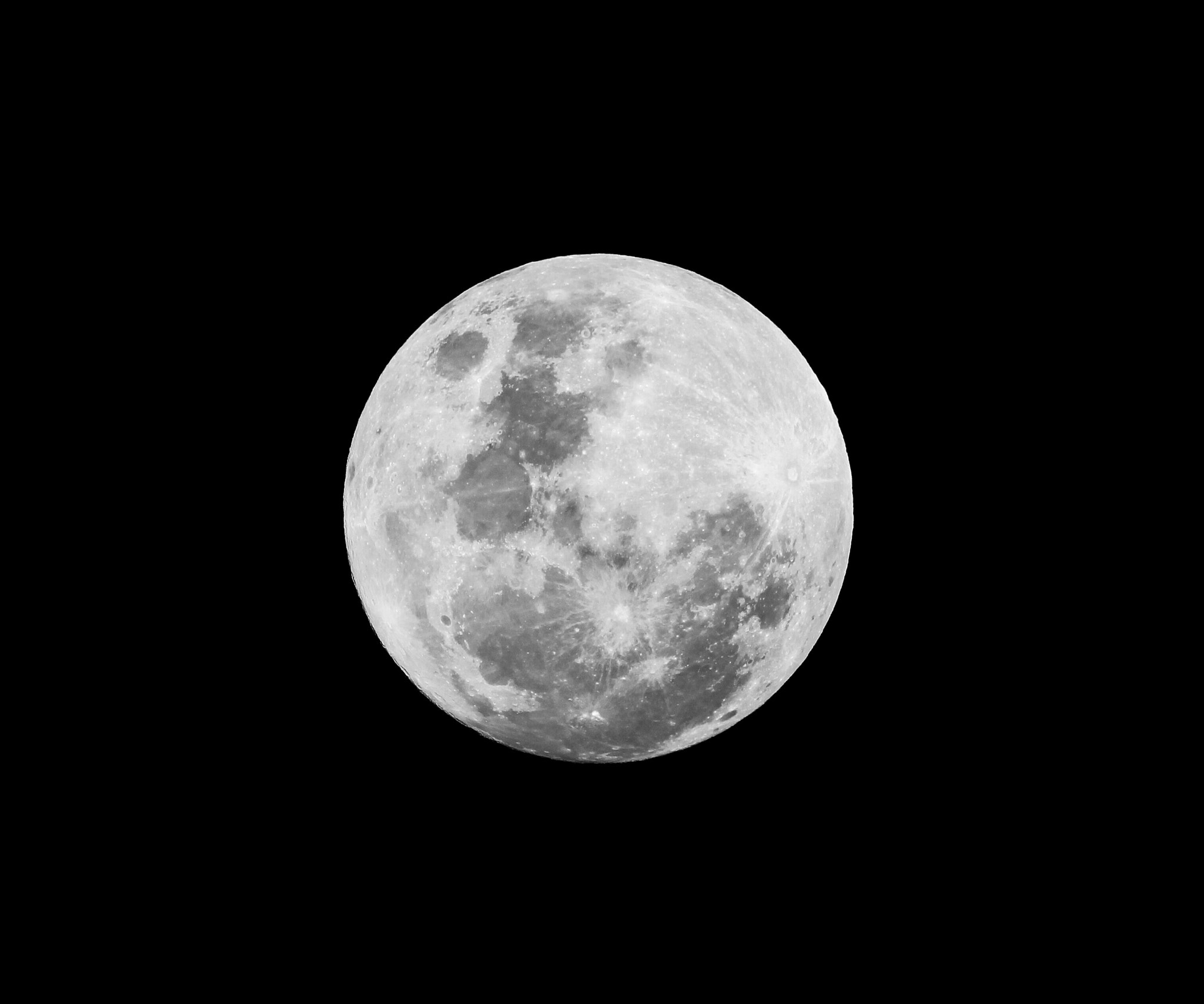 150-600mm F5-6.3 DG OS HSM | Contemporary 015 sample photo