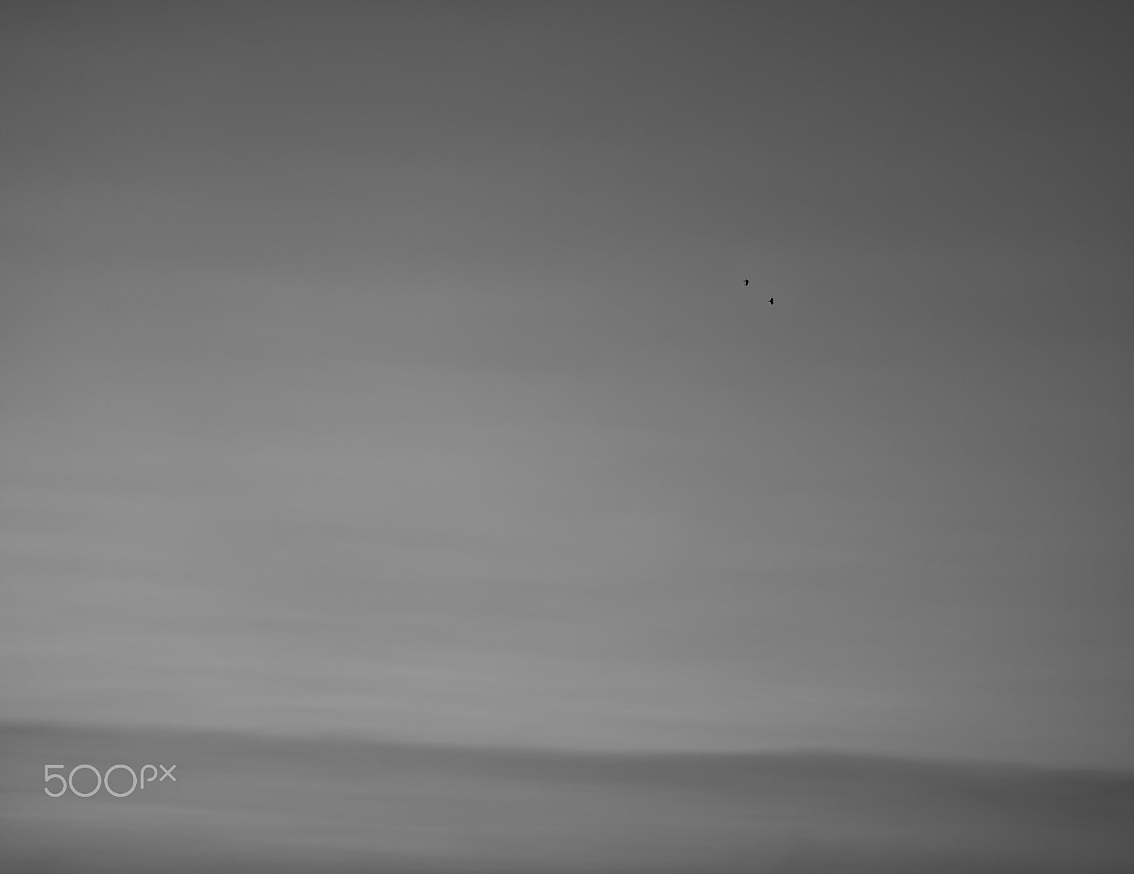 Sony a7 + Sony FE 90mm F2.8 Macro G OSS sample photo. Passing by photography