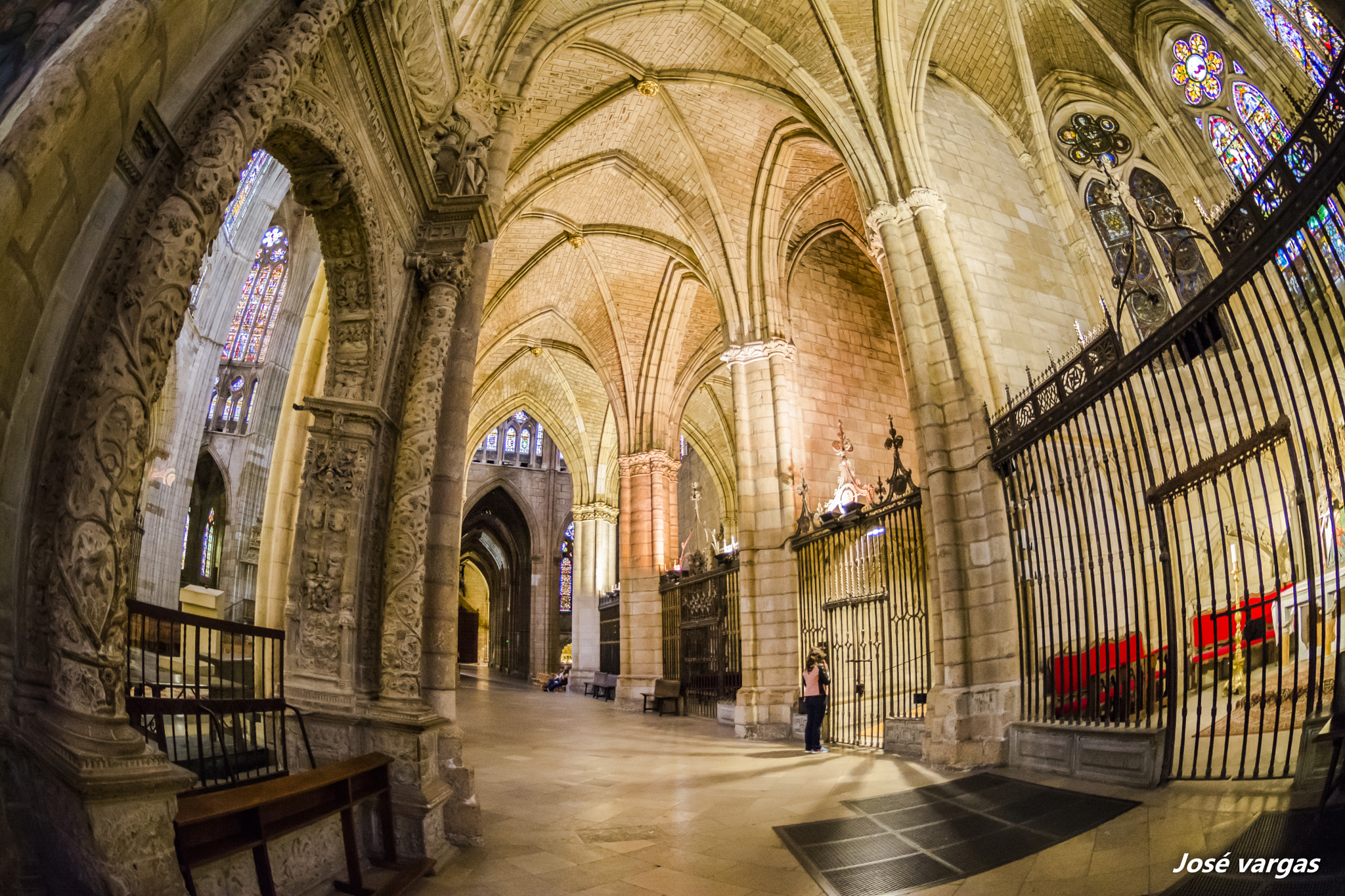 Nikon D7100 + Nikon AF DX Fisheye-Nikkor 10.5mm F2.8G ED sample photo. Interior cátedral de león. photography