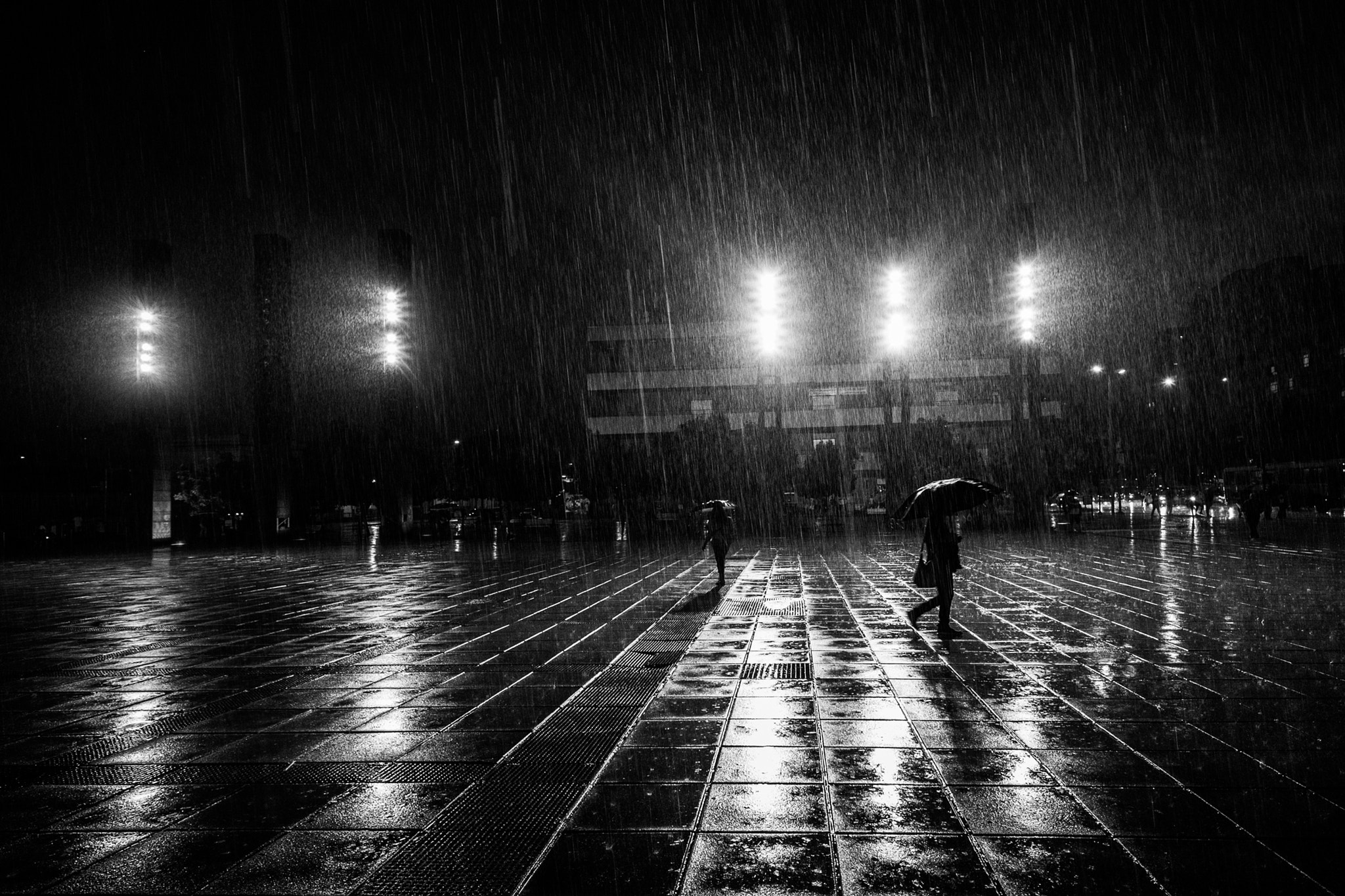 ZEISS Touit 12mm F2.8 sample photo. Rain photography