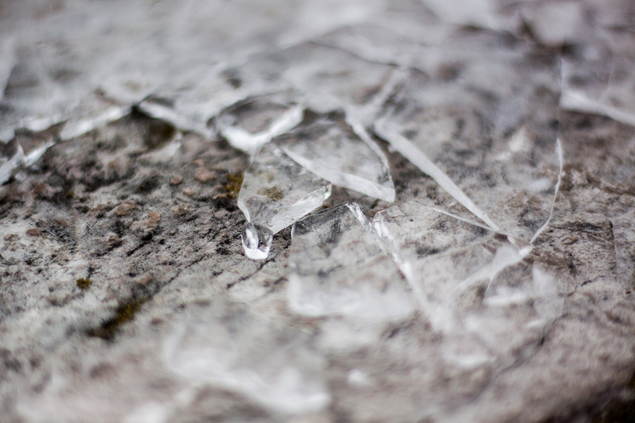 Canon EOS 50D + Canon EF 50mm F1.8 STM sample photo. Lac leman photography