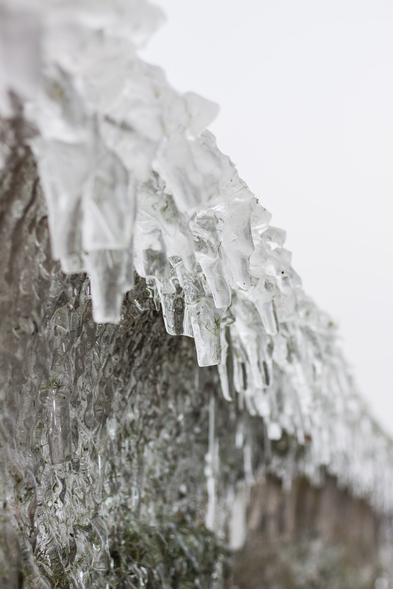 Canon EOS 50D + Canon EF 50mm F1.8 STM sample photo. Lac leman photography