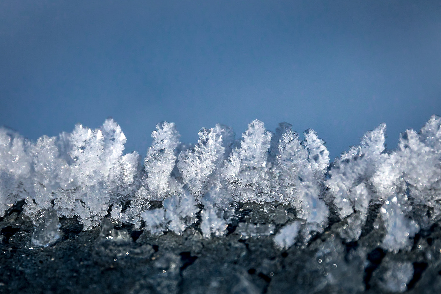 Canon EOS 70D + Sigma 24-105mm f/4 DG OS HSM | A sample photo. Ice cristals photography