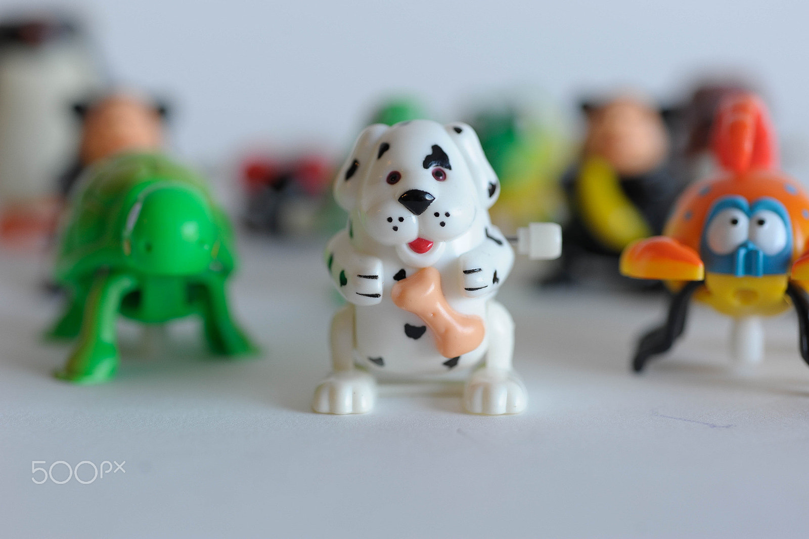 Nikon AF Micro-Nikkor 60mm F2.8D sample photo. Playtime photography