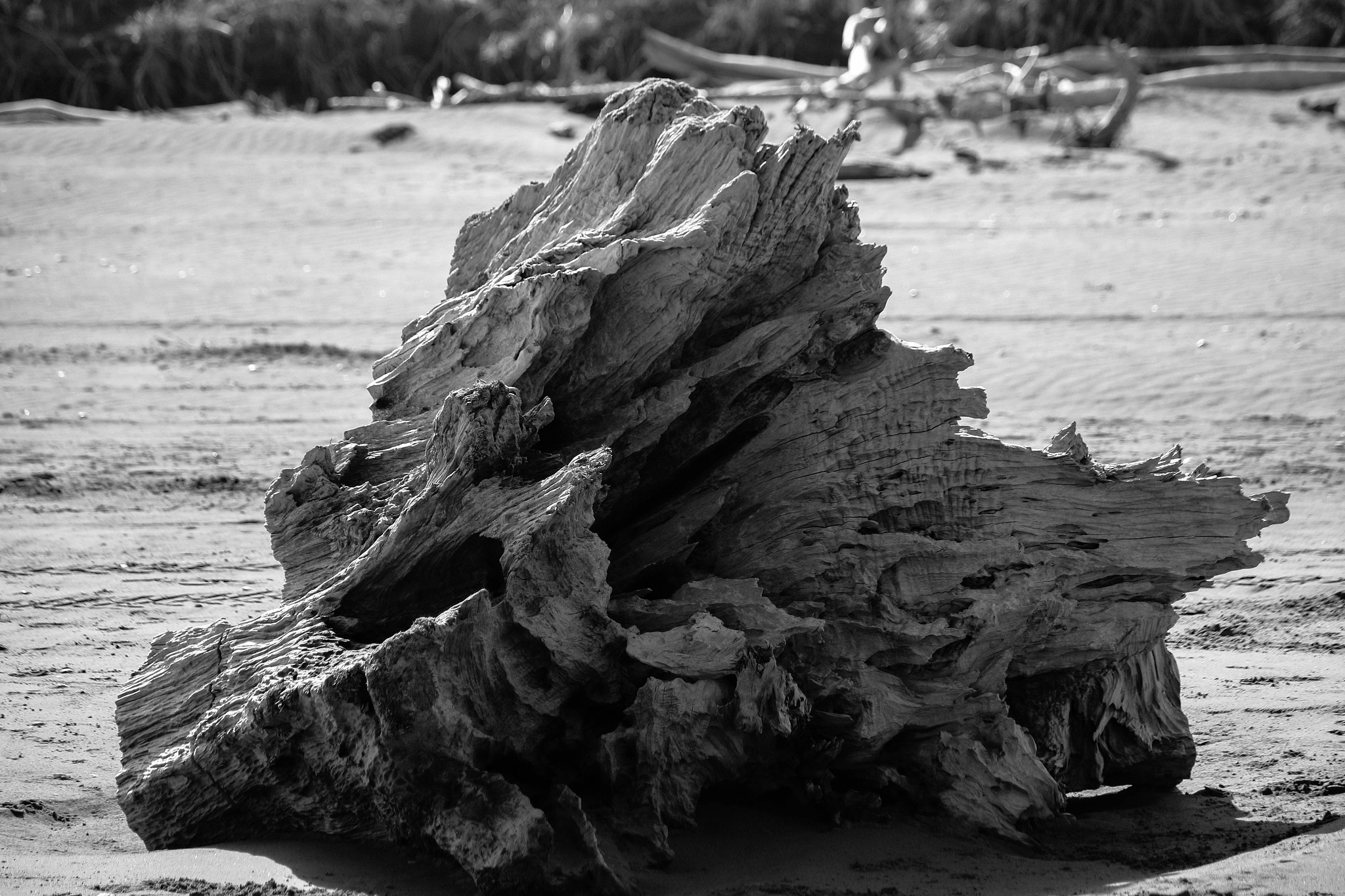 Canon EF-S 55-250mm F4-5.6 IS II sample photo. Textures photography