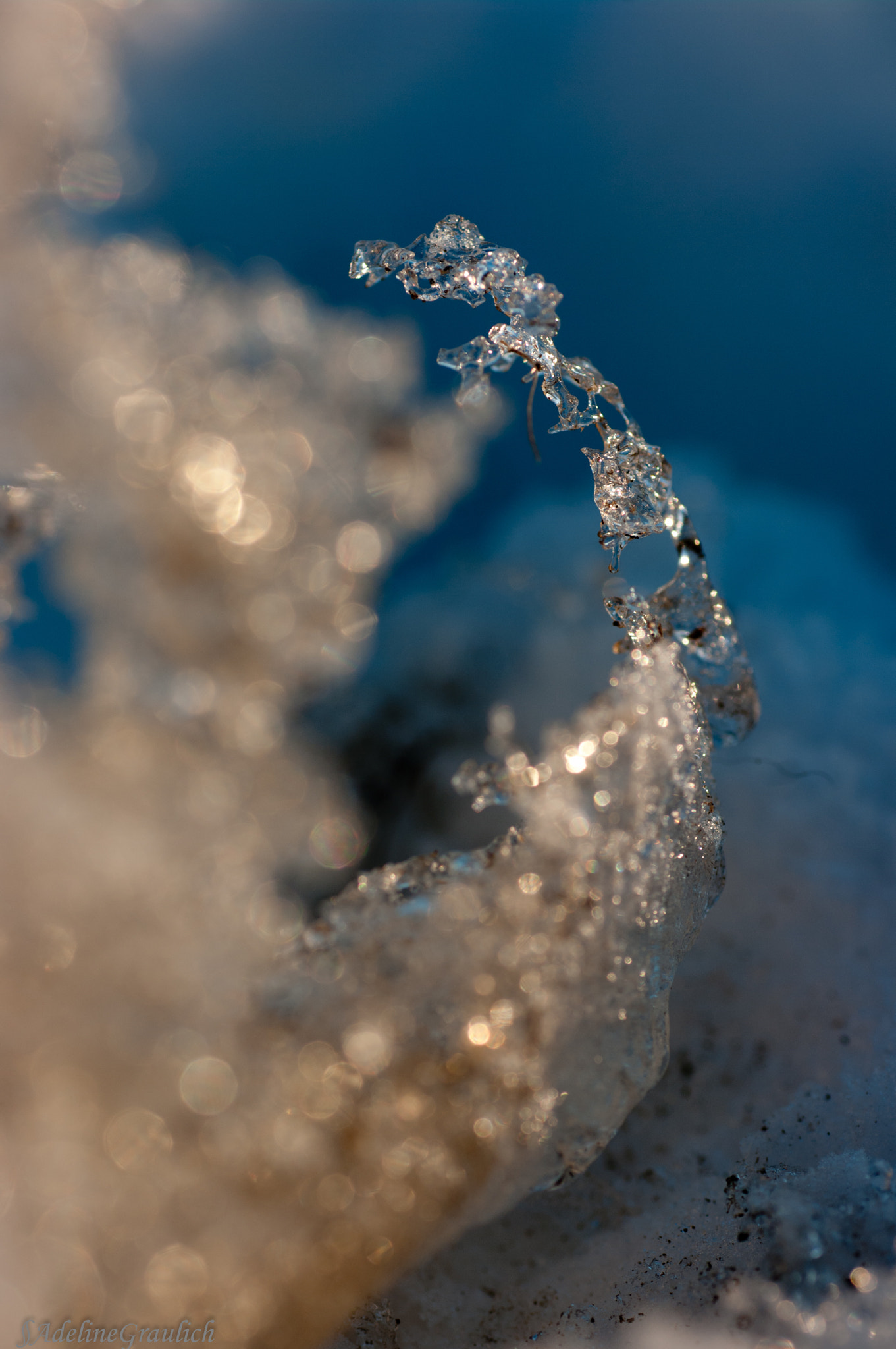 Pentax K20D + Tamron SP AF 90mm F2.8 Di Macro sample photo. The art of winter photography