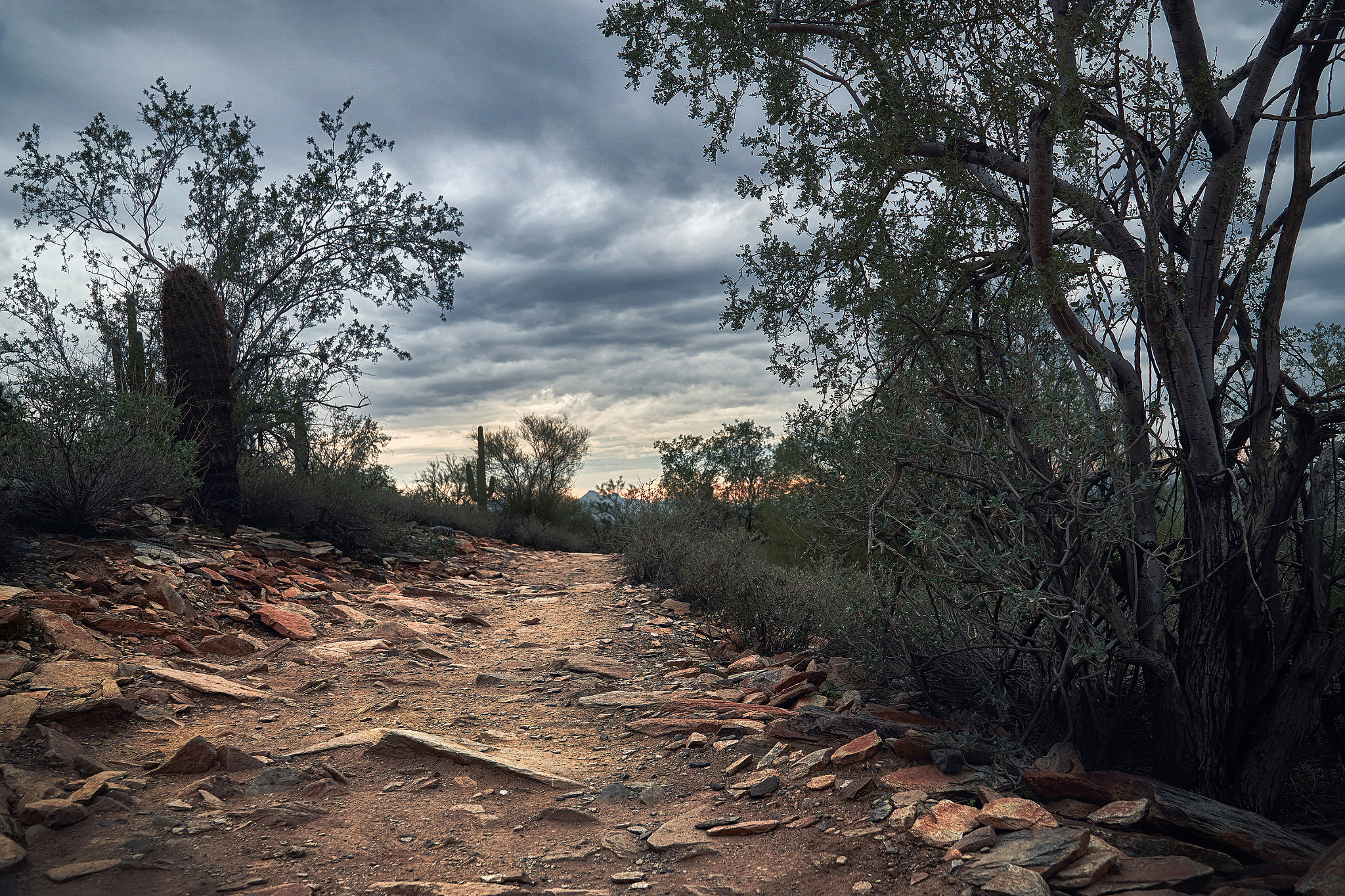 Sony E PZ 18-105mm F4 G OSS sample photo. Gloomy sunset over gateway trail photography