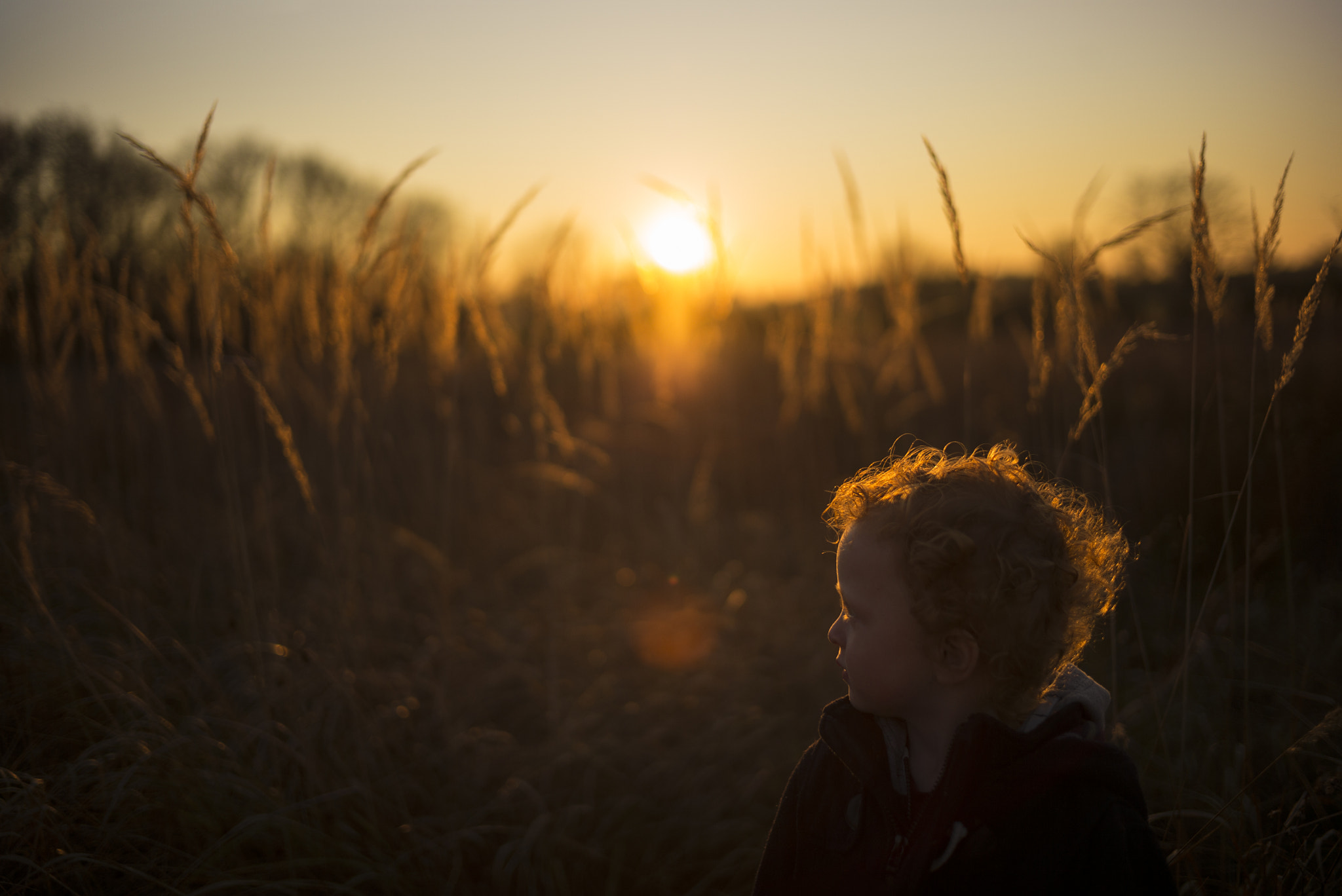 Leica M (Typ 240) + Summilux-M 1:1.4/35 sample photo. L photography