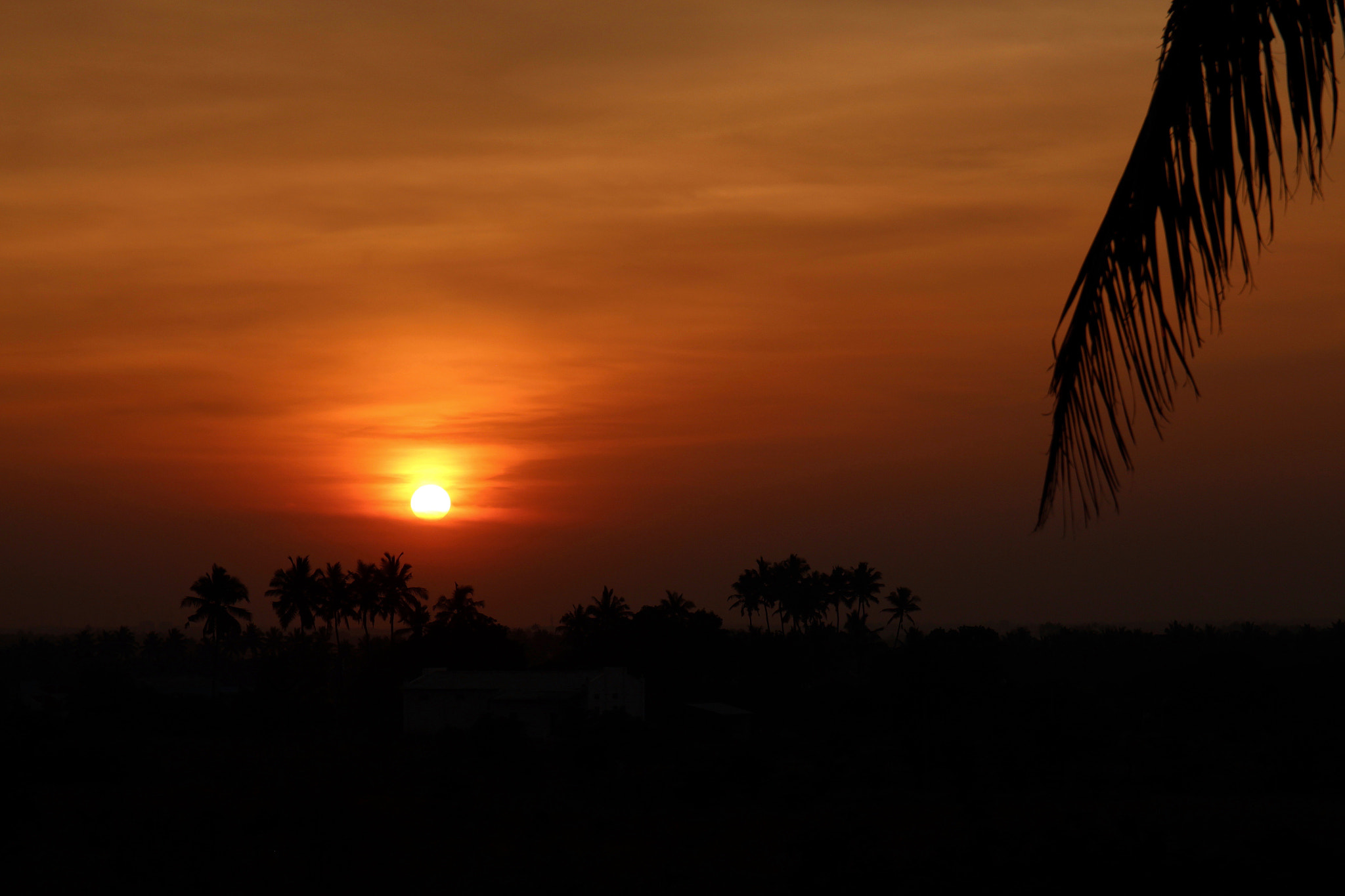 Canon EF 24-70mm F4L IS USM sample photo. Sunset photography