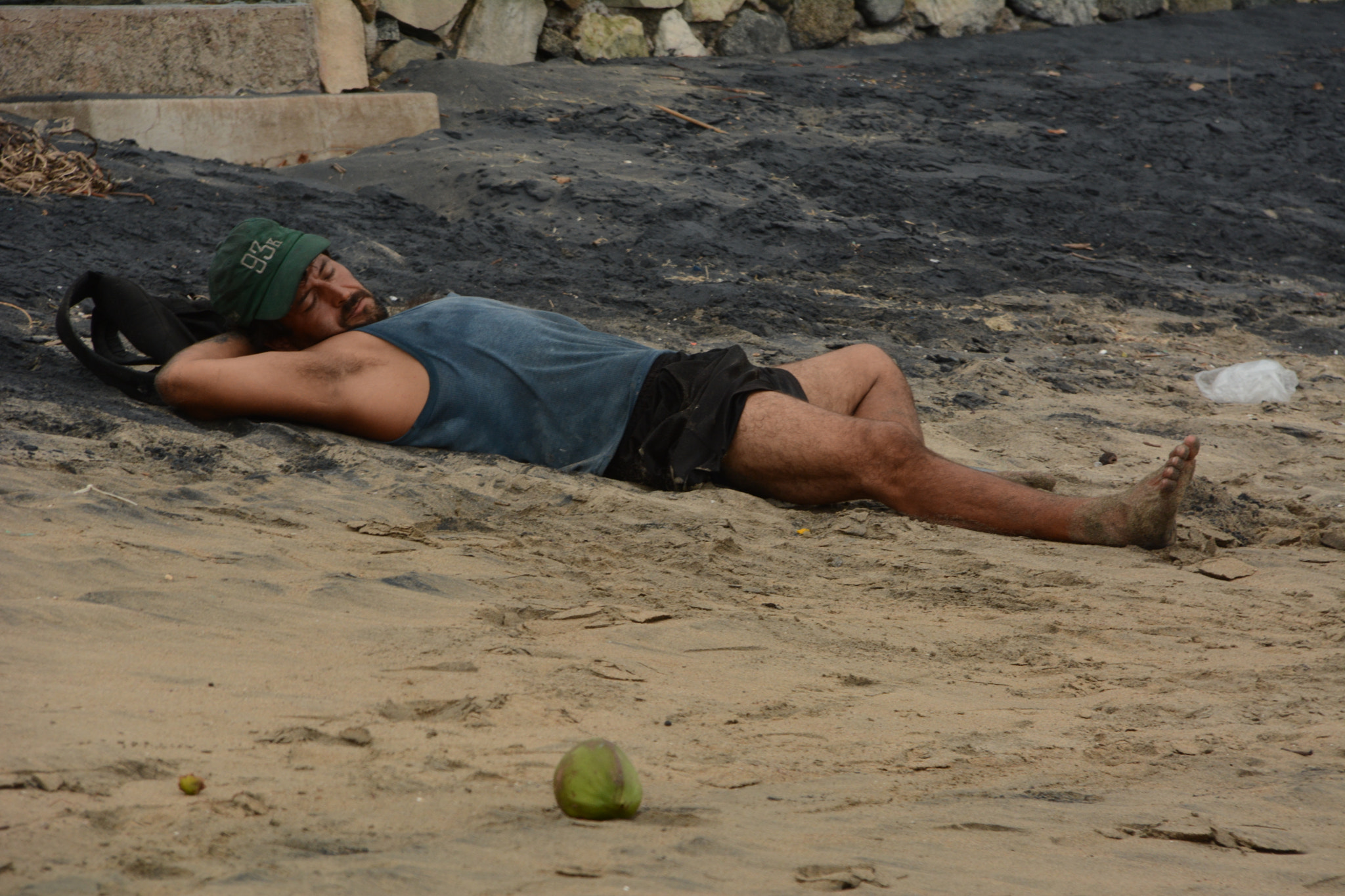 Sigma 18-200mm F3.5-6.3 DC OS HSM sample photo. Taking a nap @ zlo photography