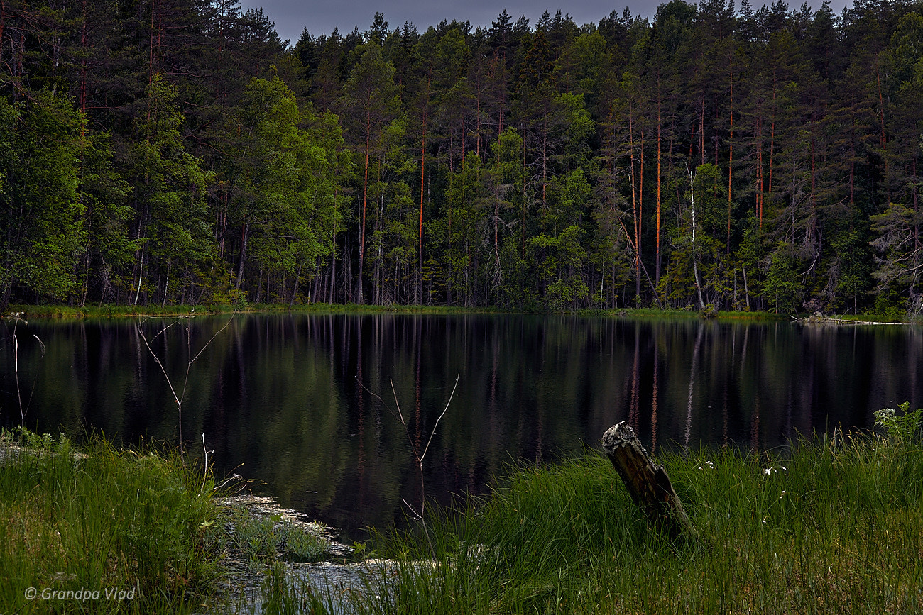 Canon EOS 1100D (EOS Rebel T3 / EOS Kiss X50) sample photo. Dead lake photography