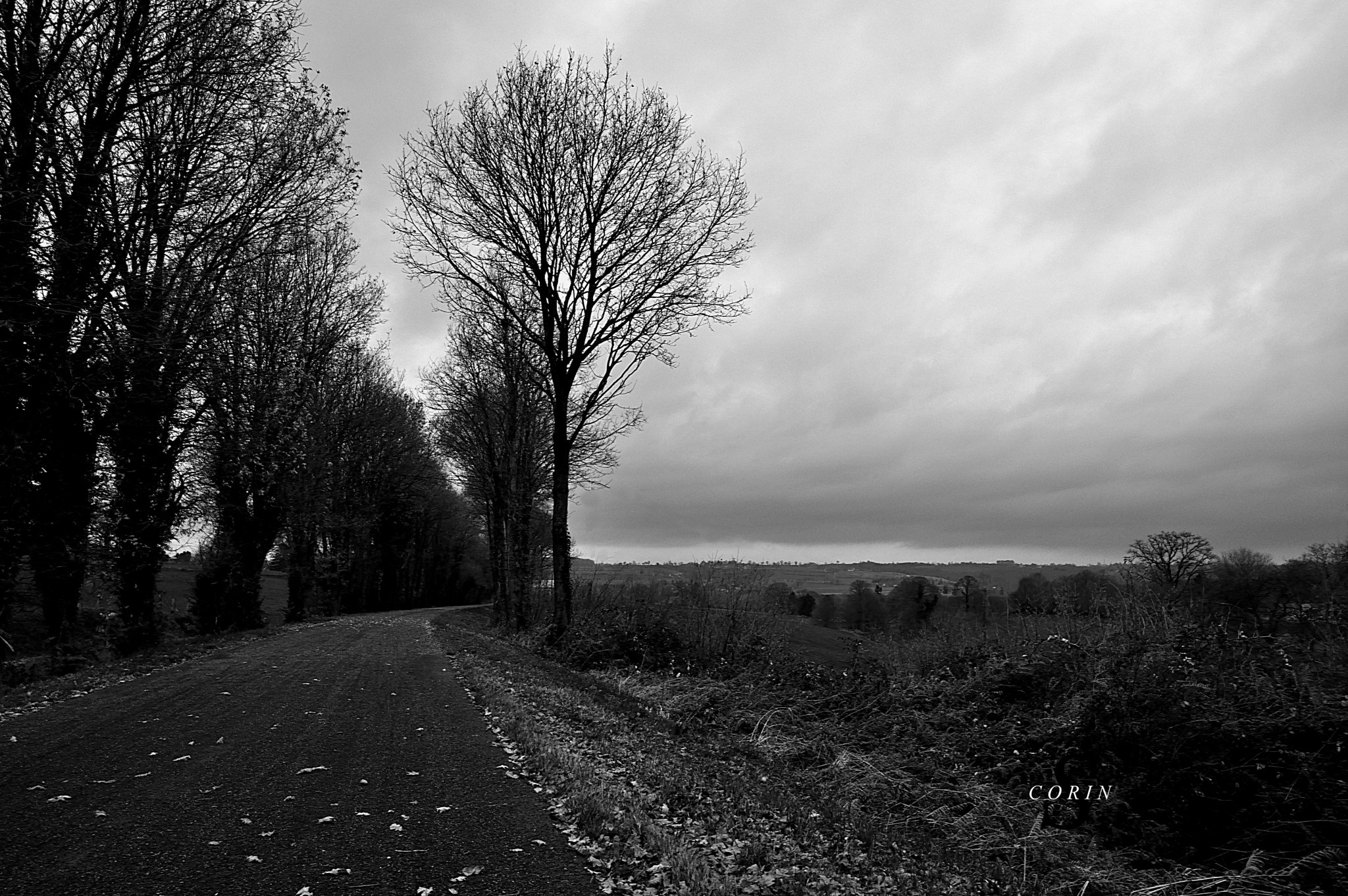Nikon D3200 sample photo. Isigny le buart photography