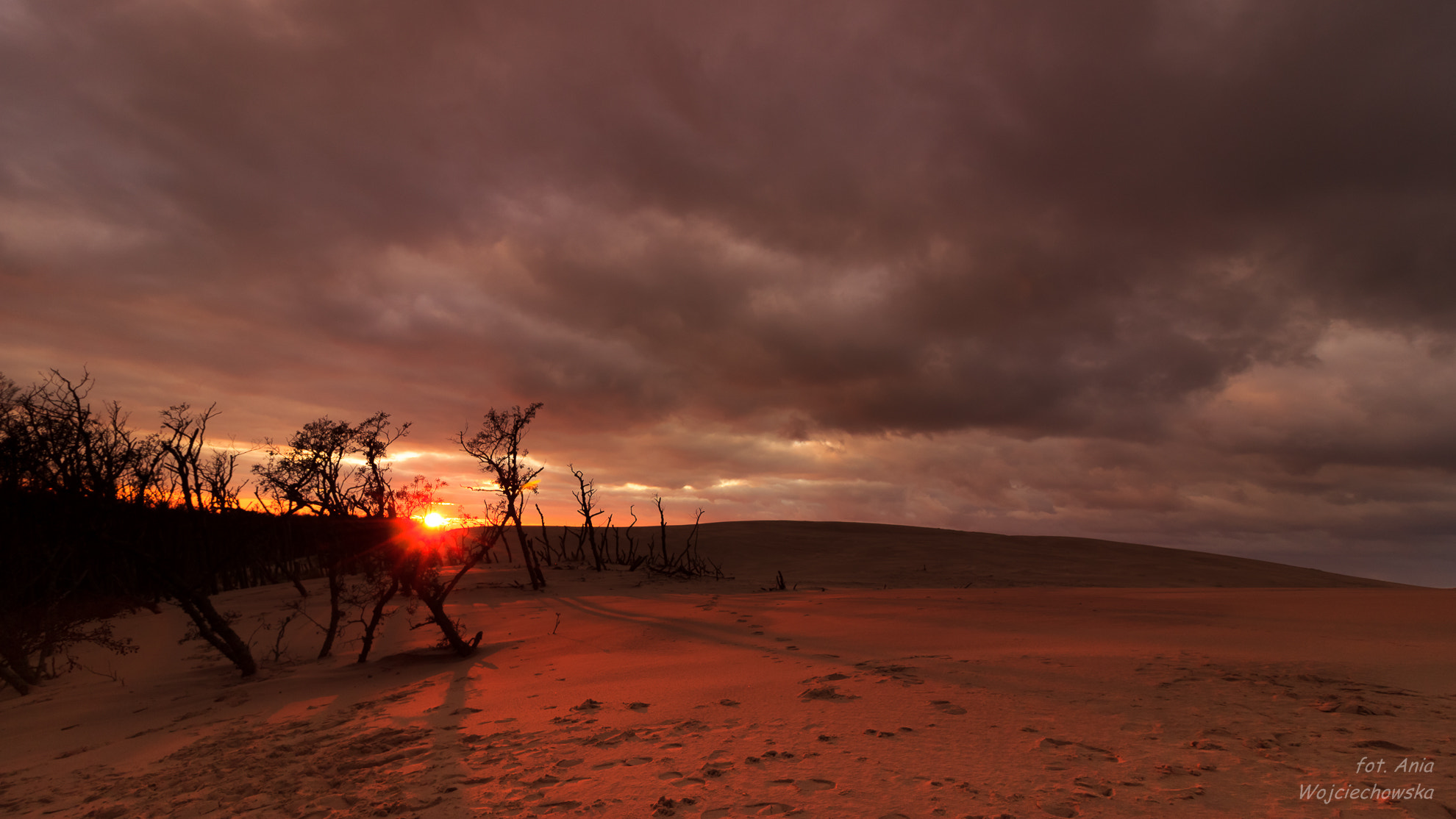Canon EOS 600D (Rebel EOS T3i / EOS Kiss X5) sample photo. Dunes photography