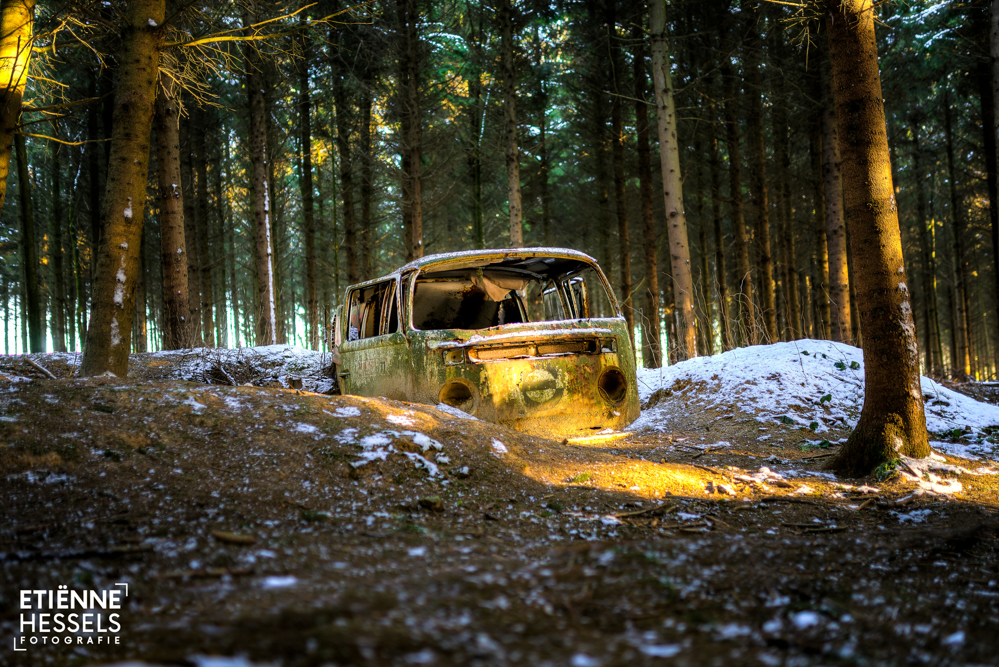 Sony a99 II + Sigma 35mm F1.4 DG HSM Art sample photo. Stranded in the woods photography