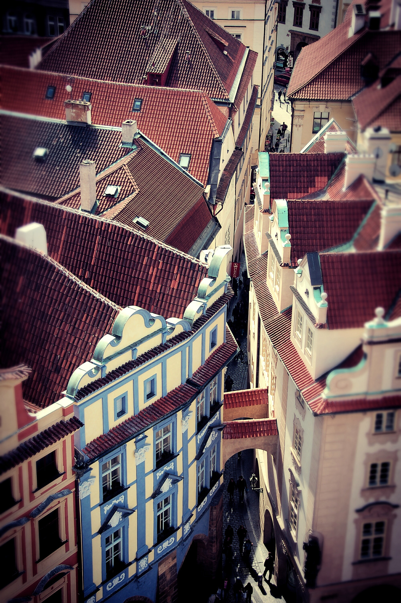 Nikon D50 sample photo. Roofs photography