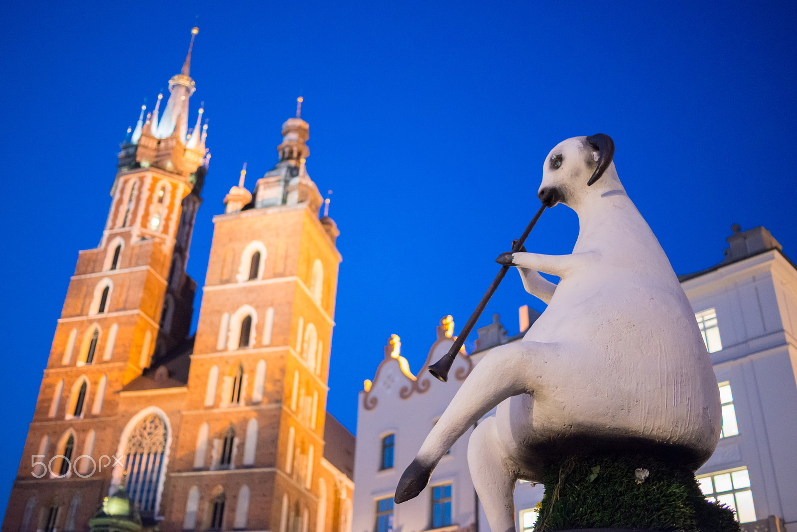 Nikon D800 sample photo. St. mary's basilica, kraków photography