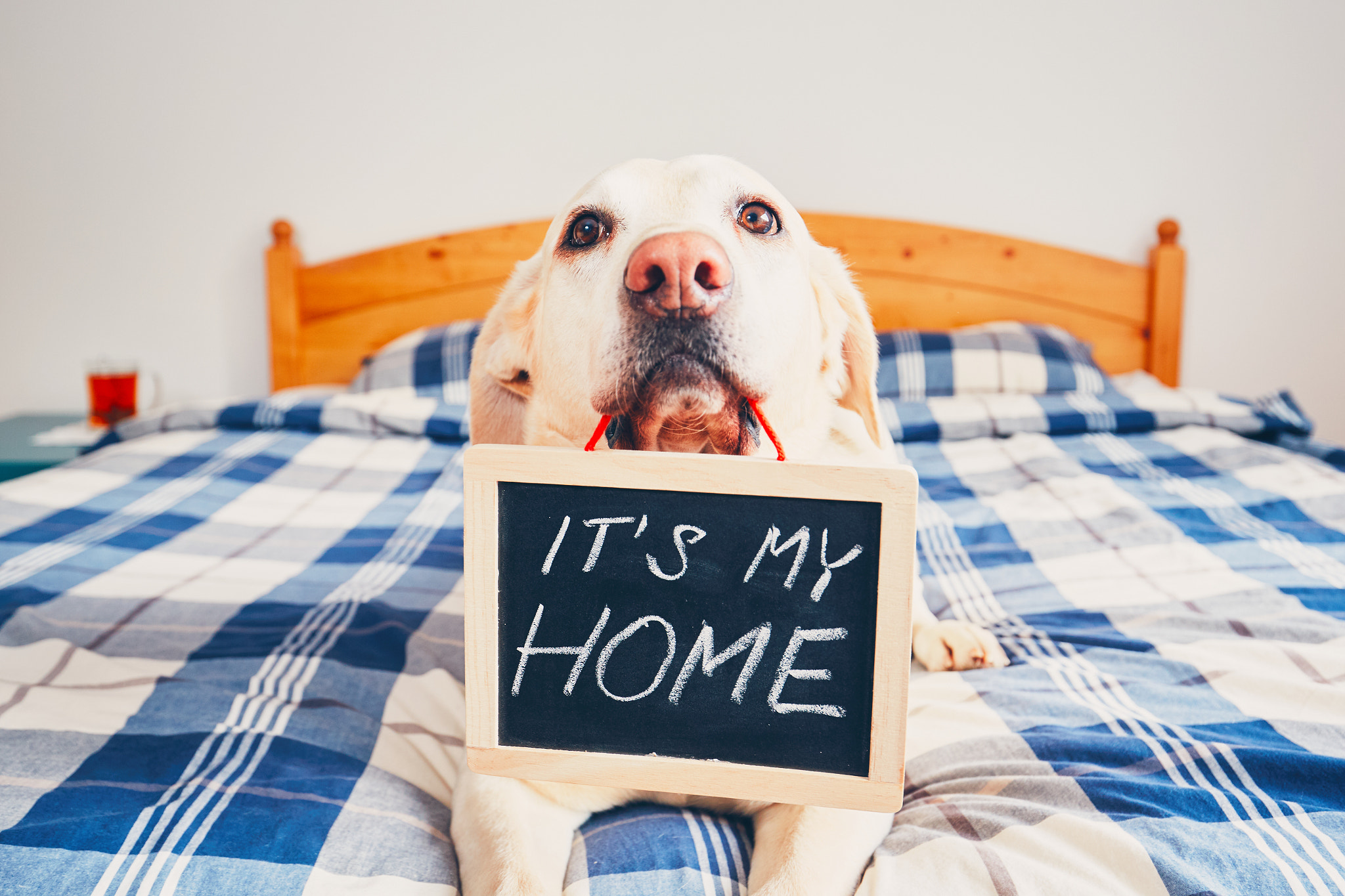 It is my home