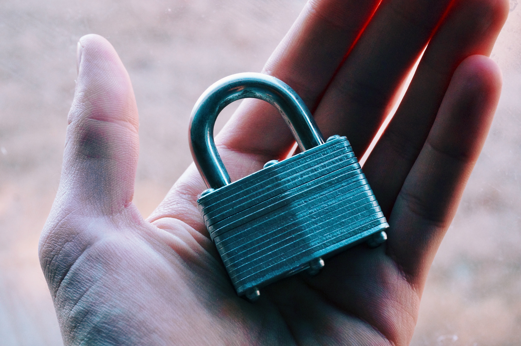 Sony Alpha NEX-6 sample photo. Lock photography