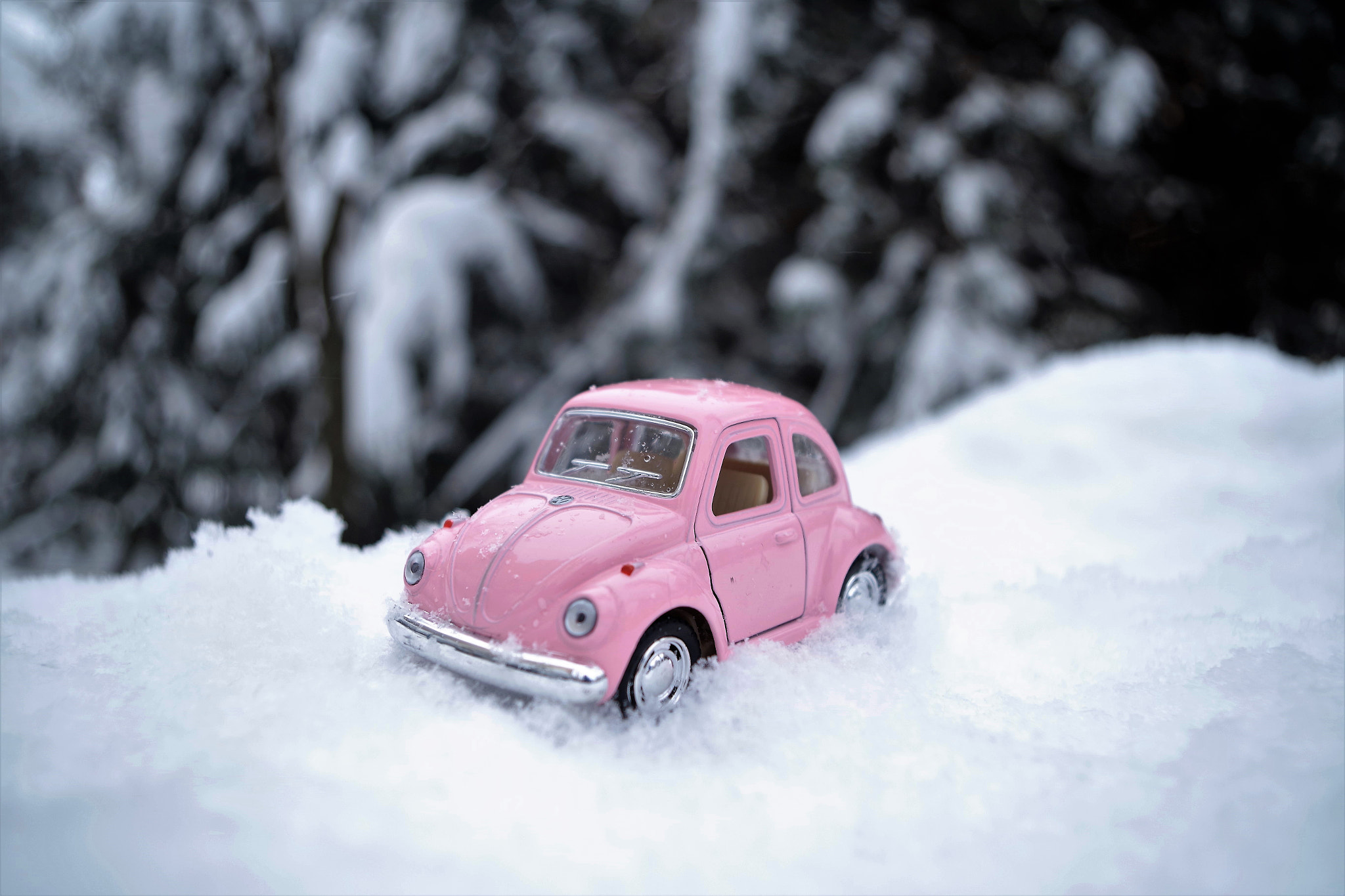 Pentax K-S1 sample photo. Pink vw photography